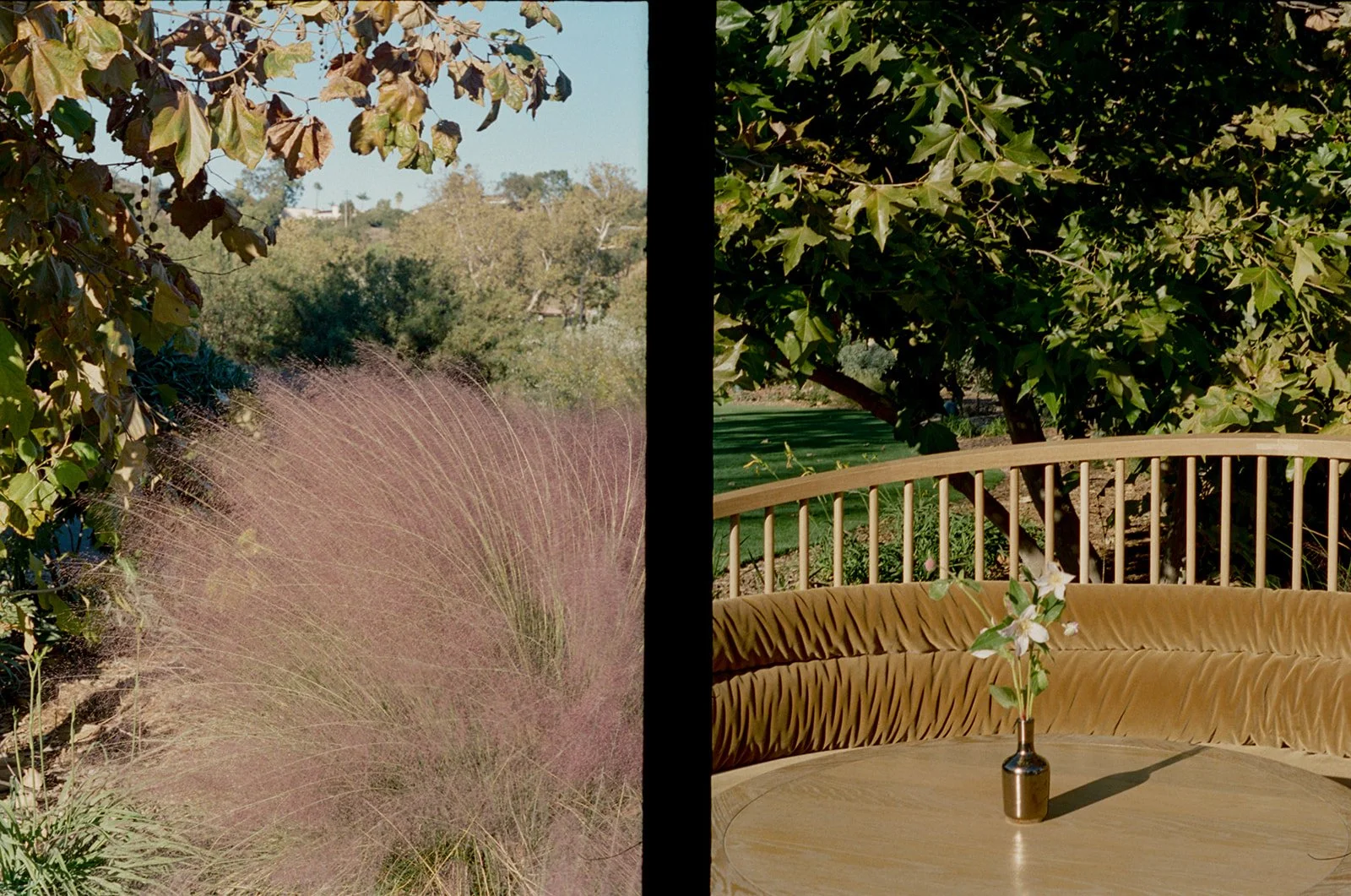 st chelle aubree and campbell-245.jpg