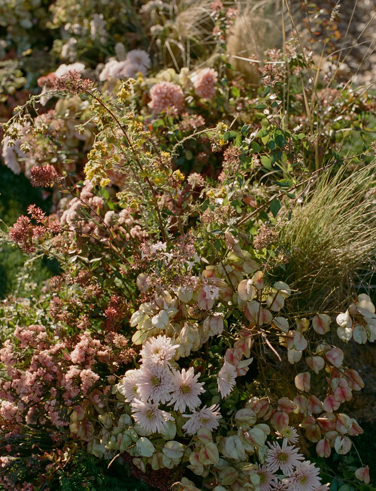 st chelle aubree and campbell-243.jpg