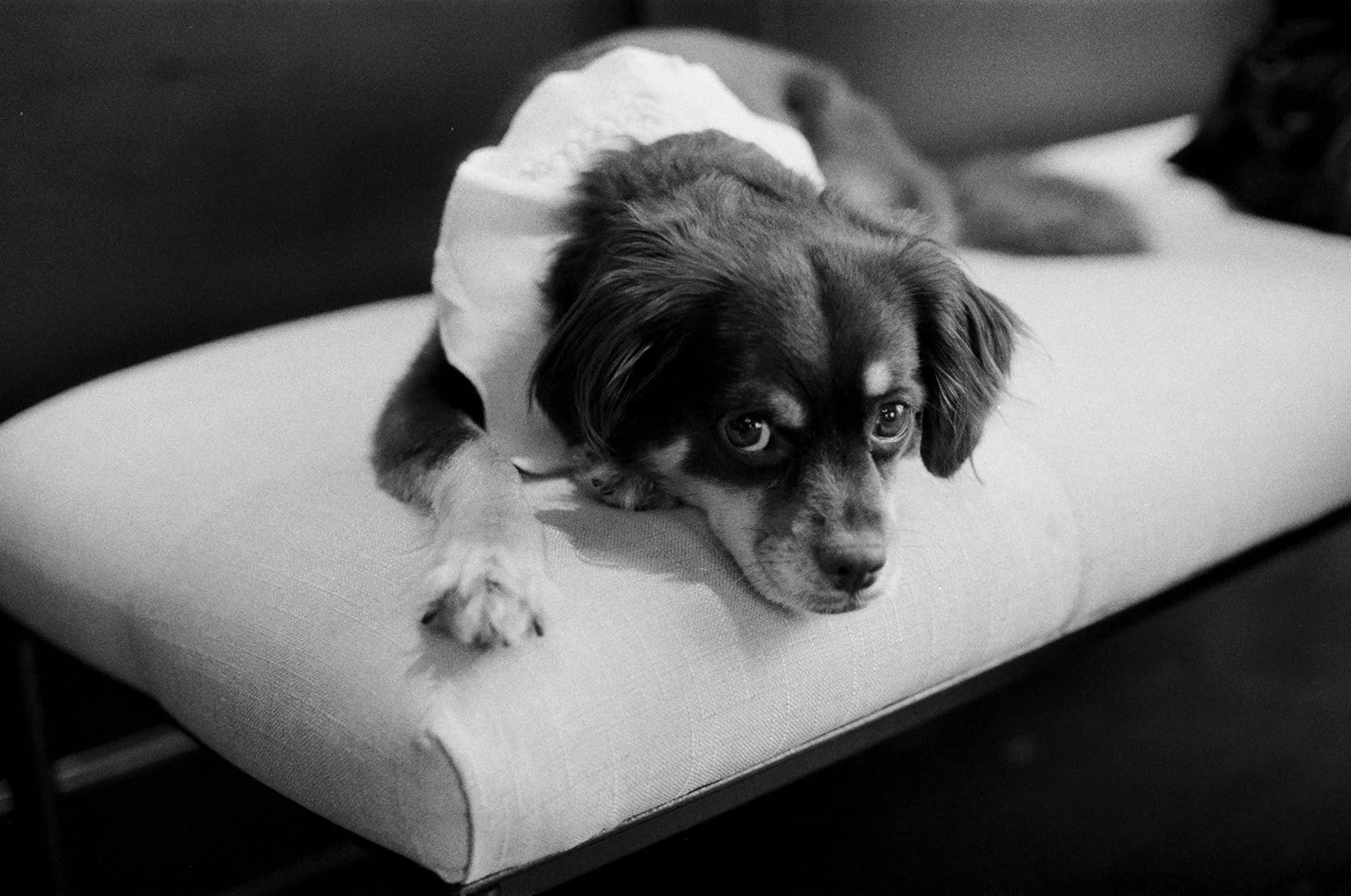 st chelle aubree and campbell-70.jpg