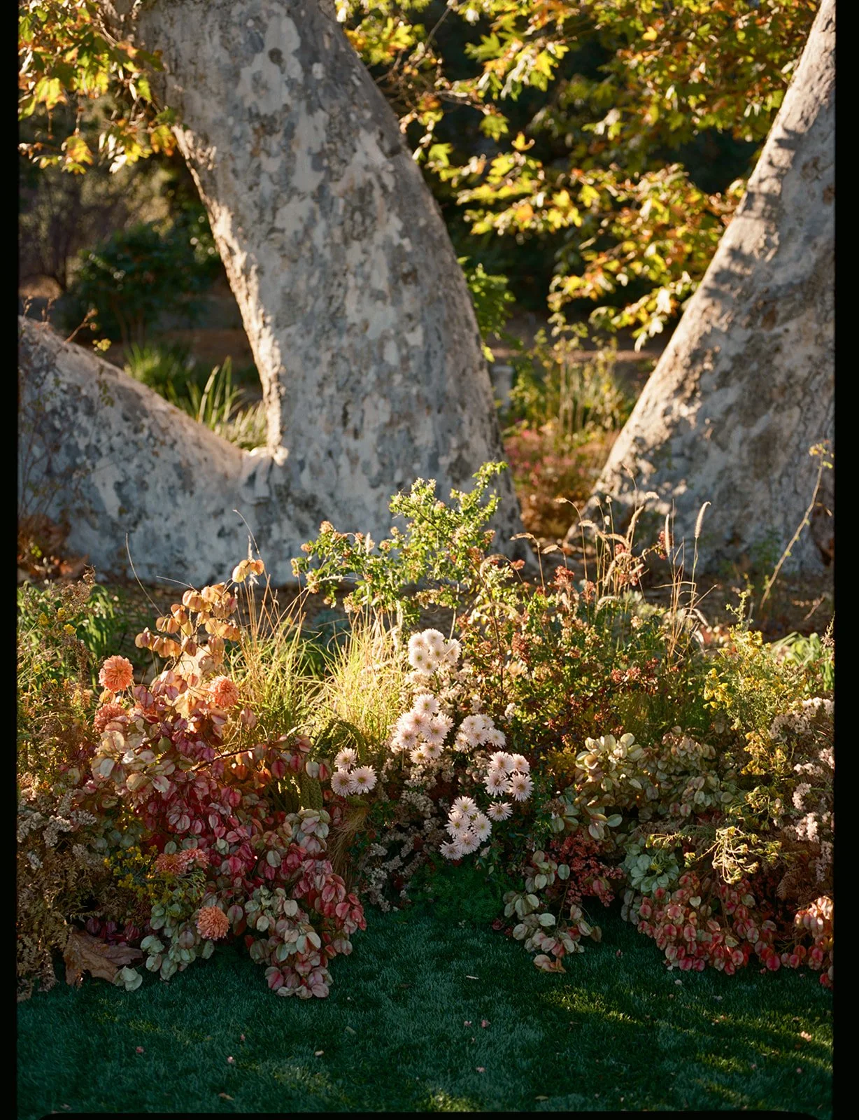 st chelle aubree and campbell-241.jpg