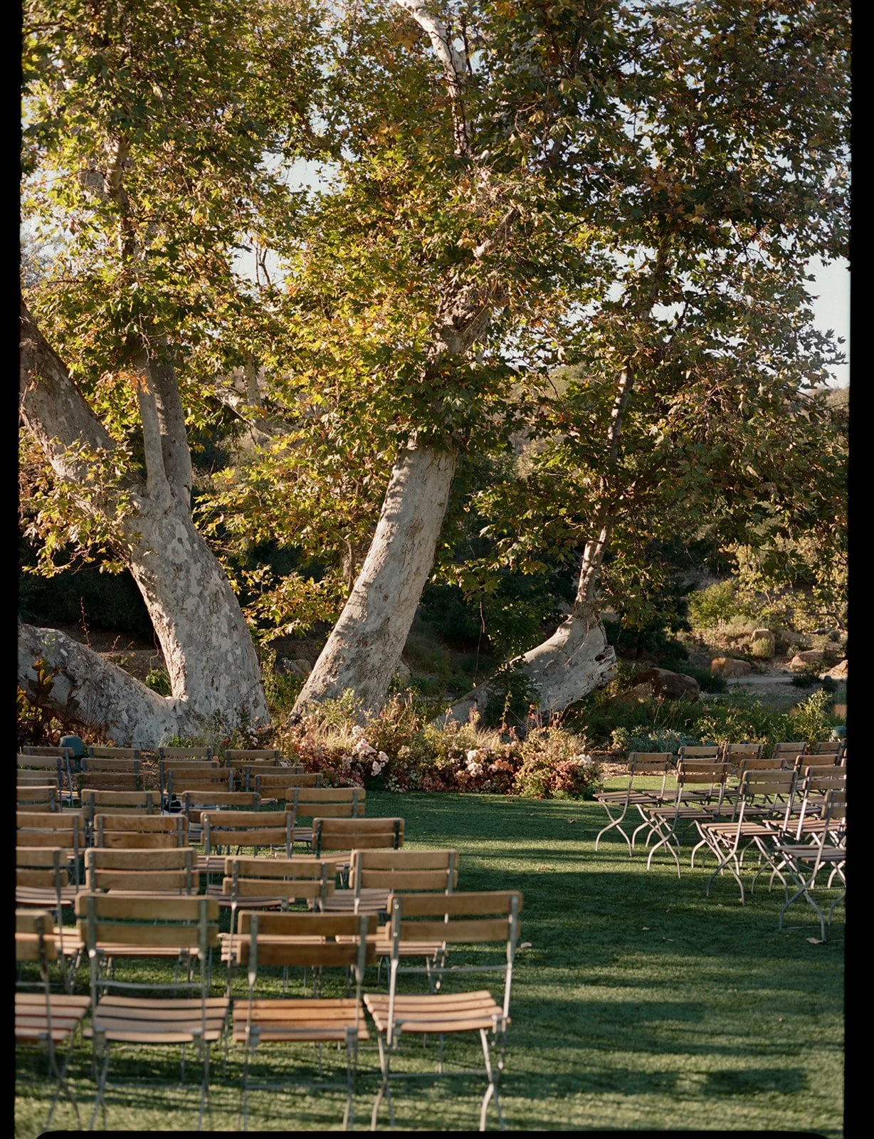 st chelle aubree and campbell-247.jpg