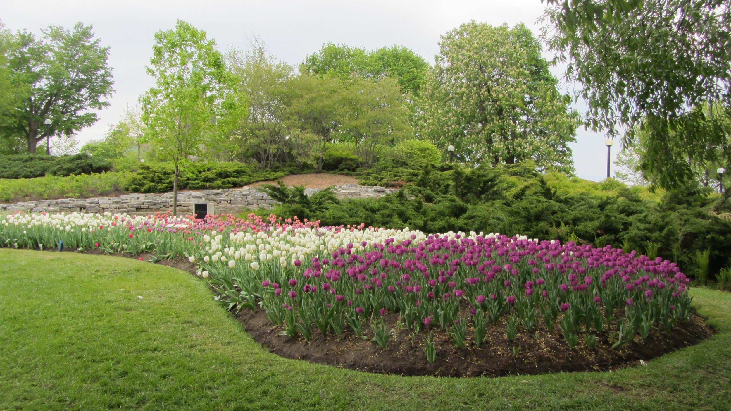 Major's Hill Park