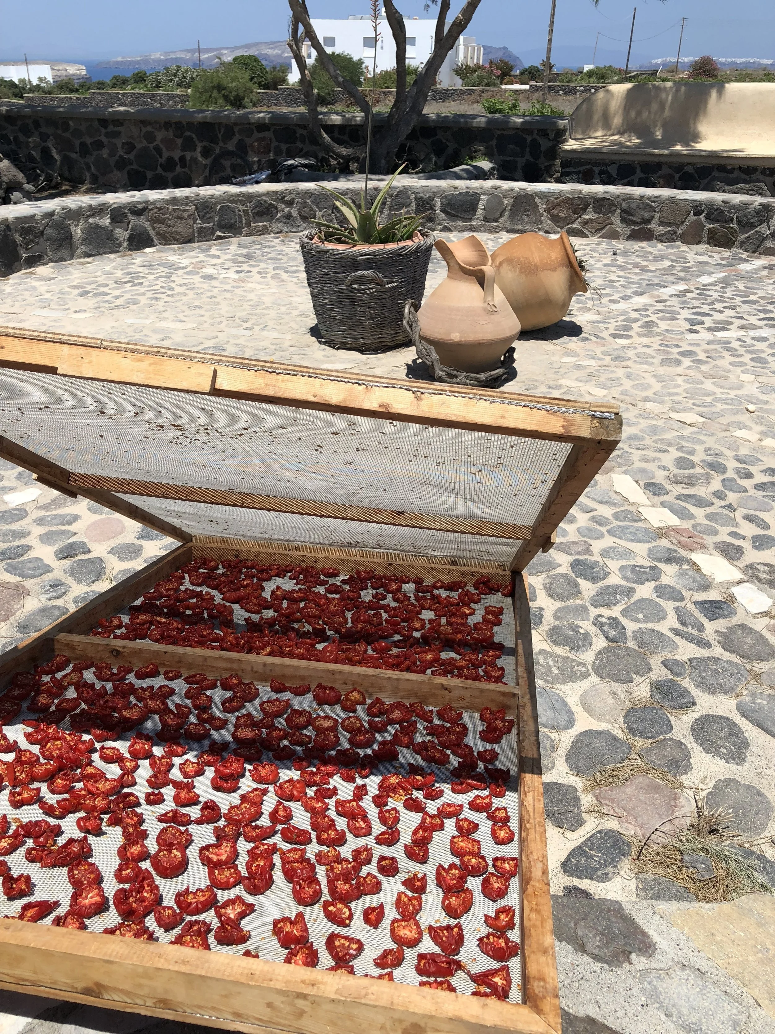 Santorini Travel Guide12.jpeg