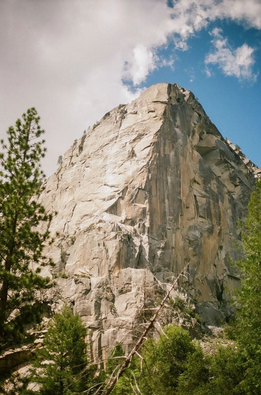 yosemite_film_0088.JPEG