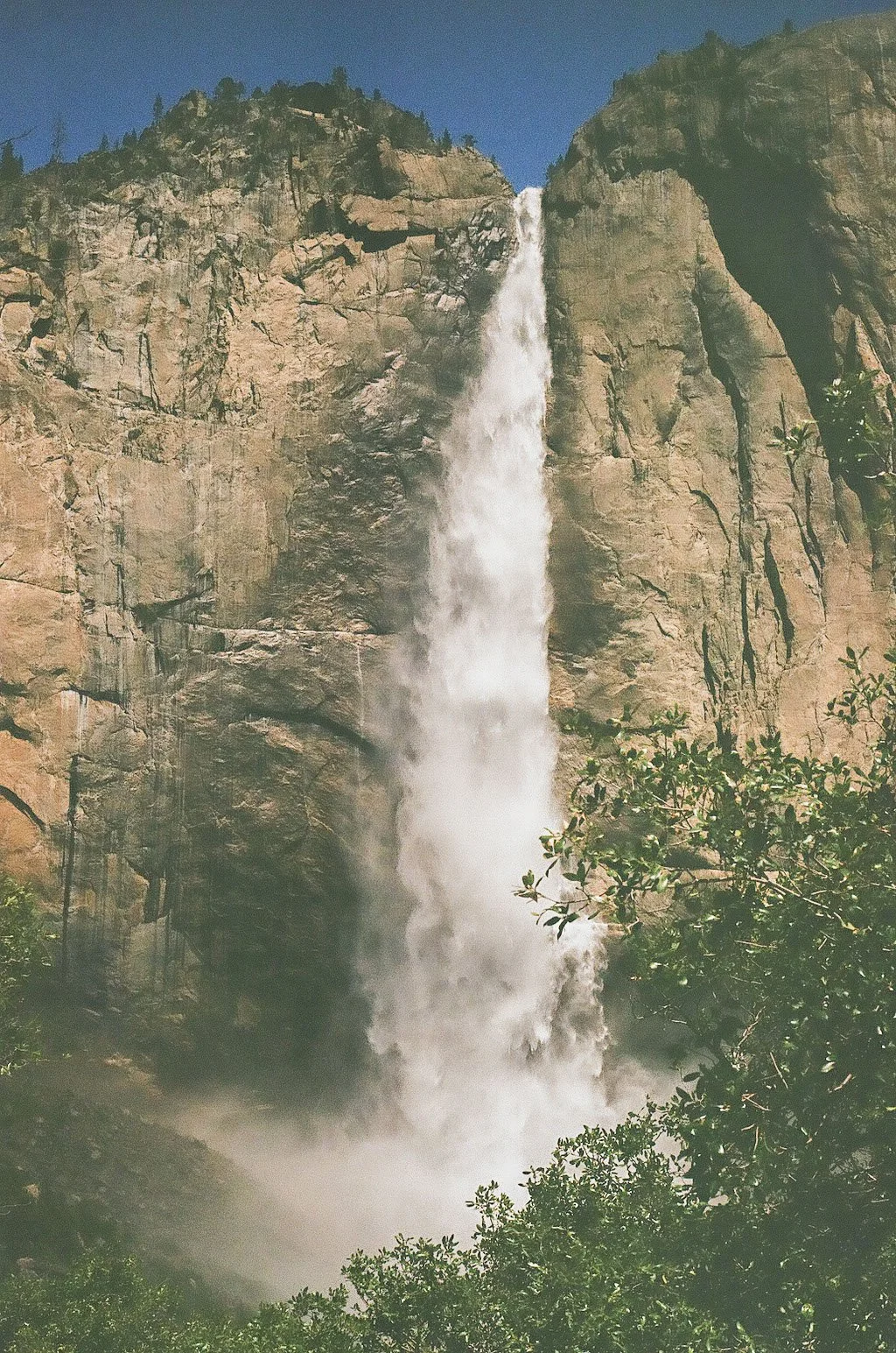 yosemite_film_0170.JPEG