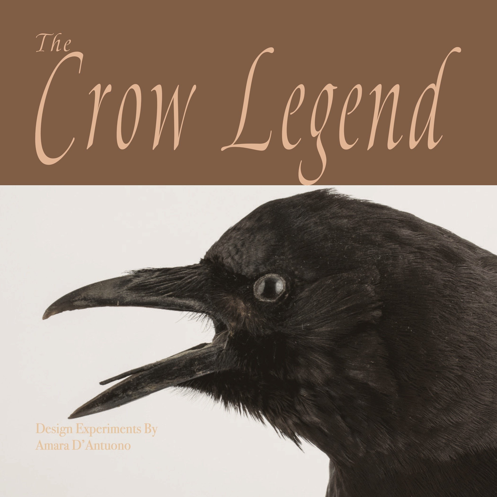 crow_book_cover.jpg