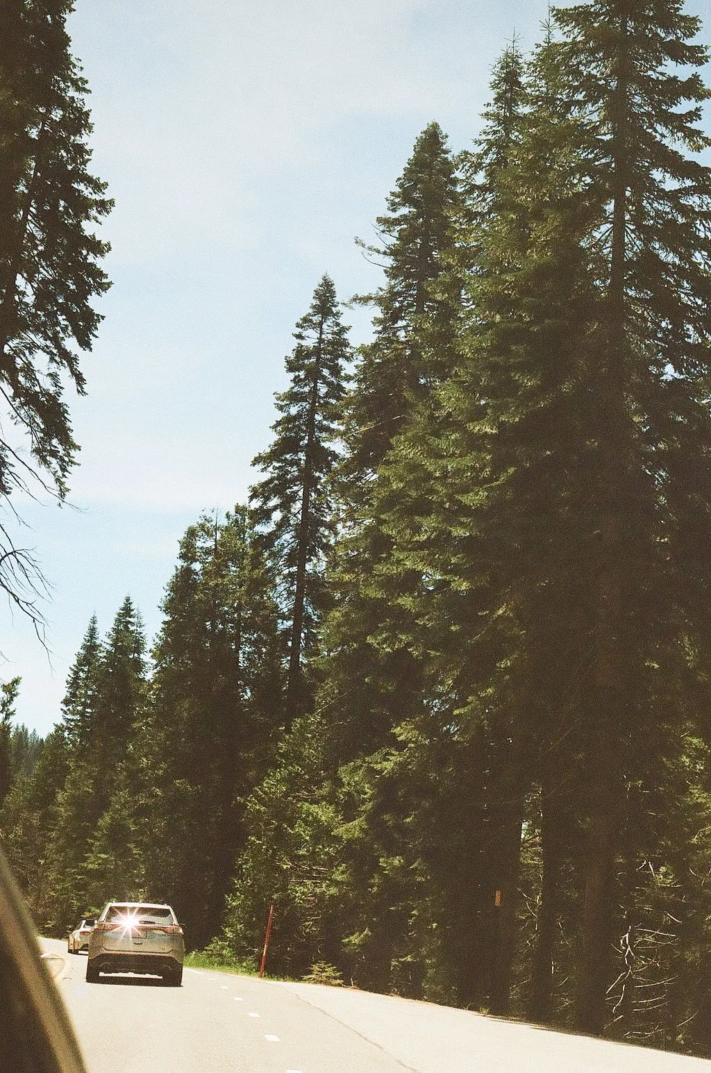 yosemite_film_0101.JPEG
