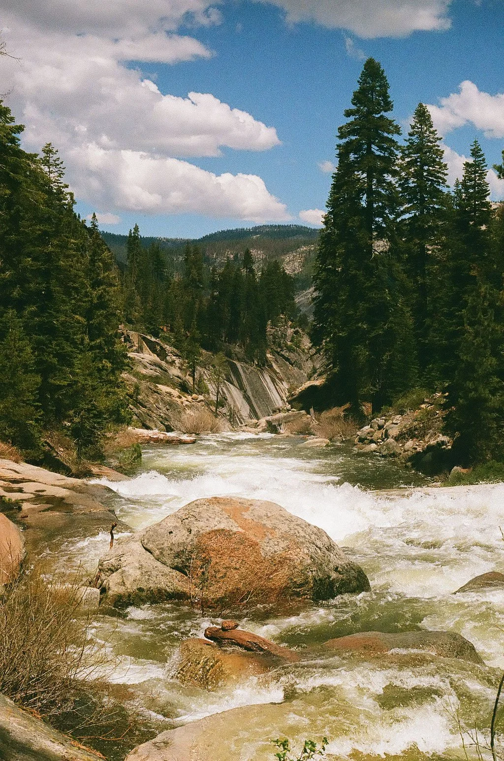 yosemite_film_0223.JPEG