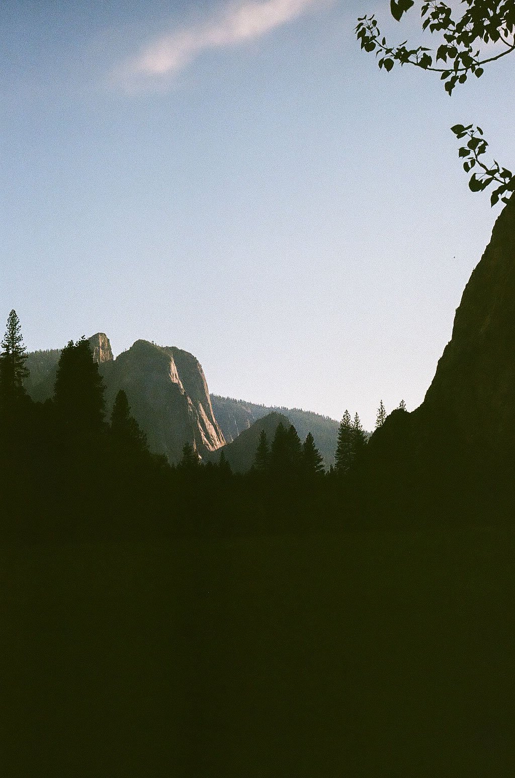yosemite_film_0241.JPEG