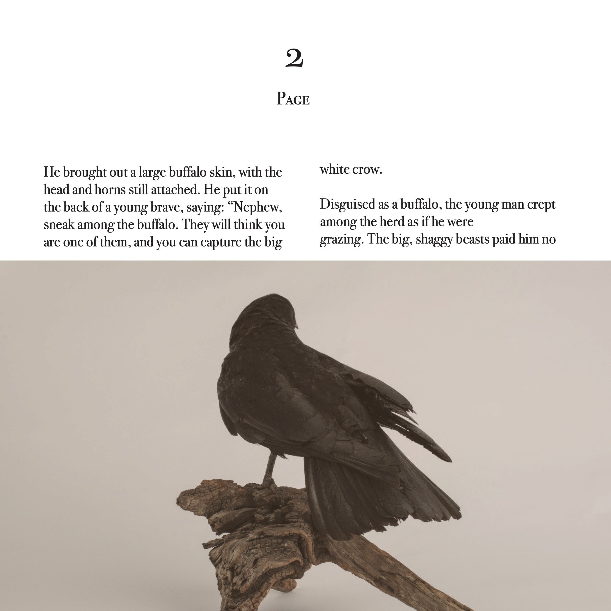 crow_book_p3.jpg