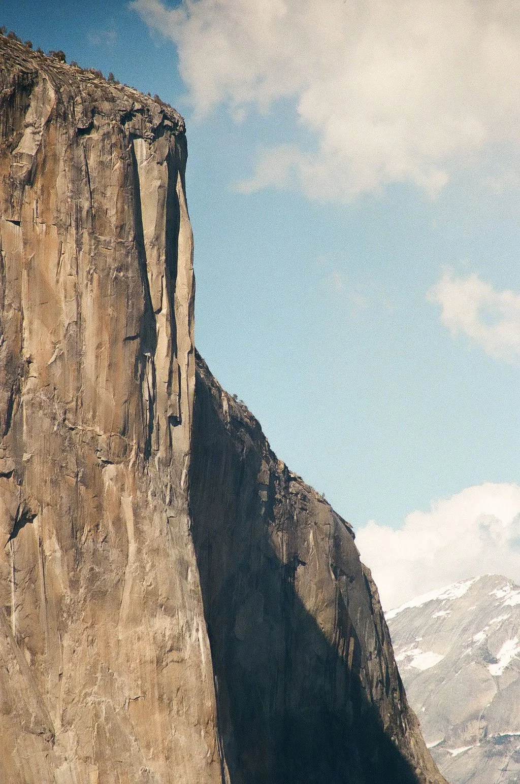 yosemite_film_0226.JPEG