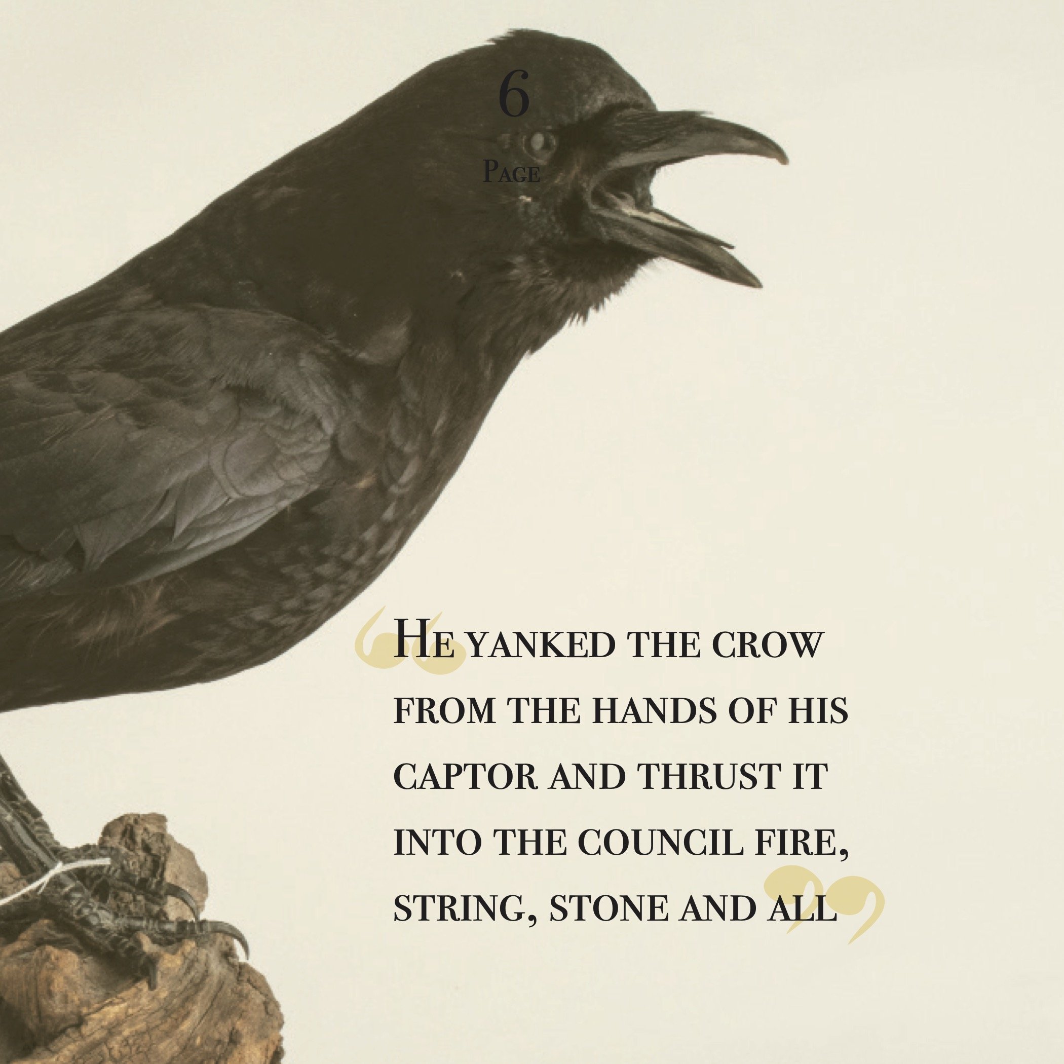 crow_book_p7.jpg