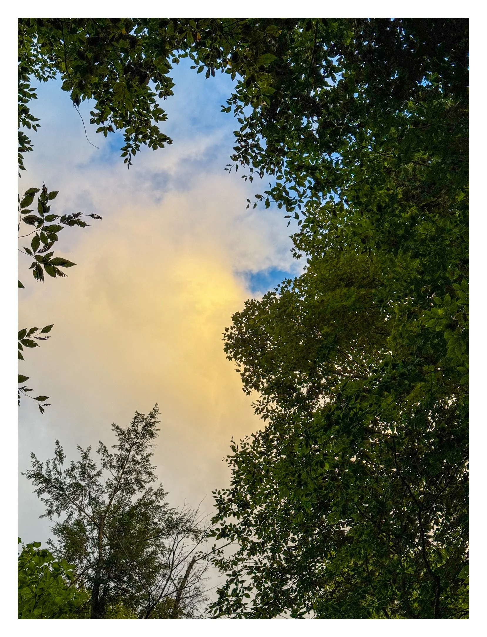 IMG_5860.JPG
