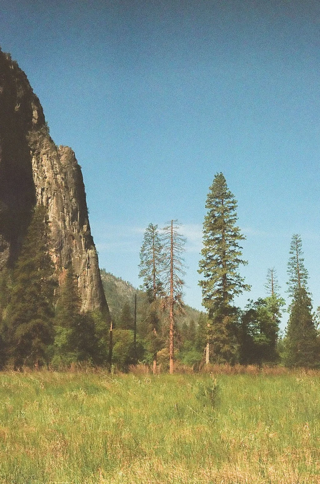 yosemite_film_0022.JPEG