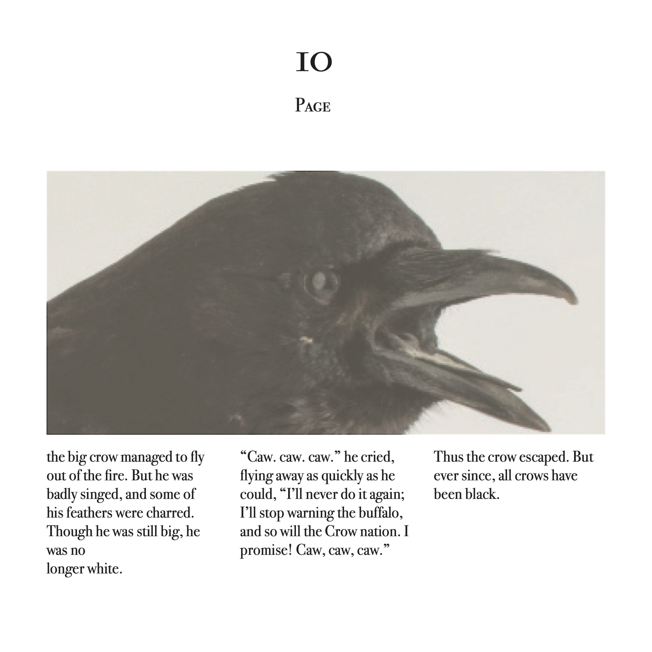 crow_book_p11.jpg
