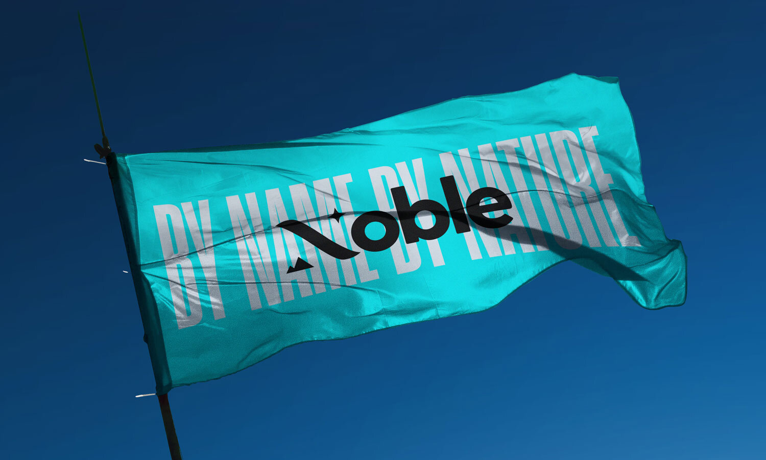 NOBLEFlag-Mockupthumb.jpg