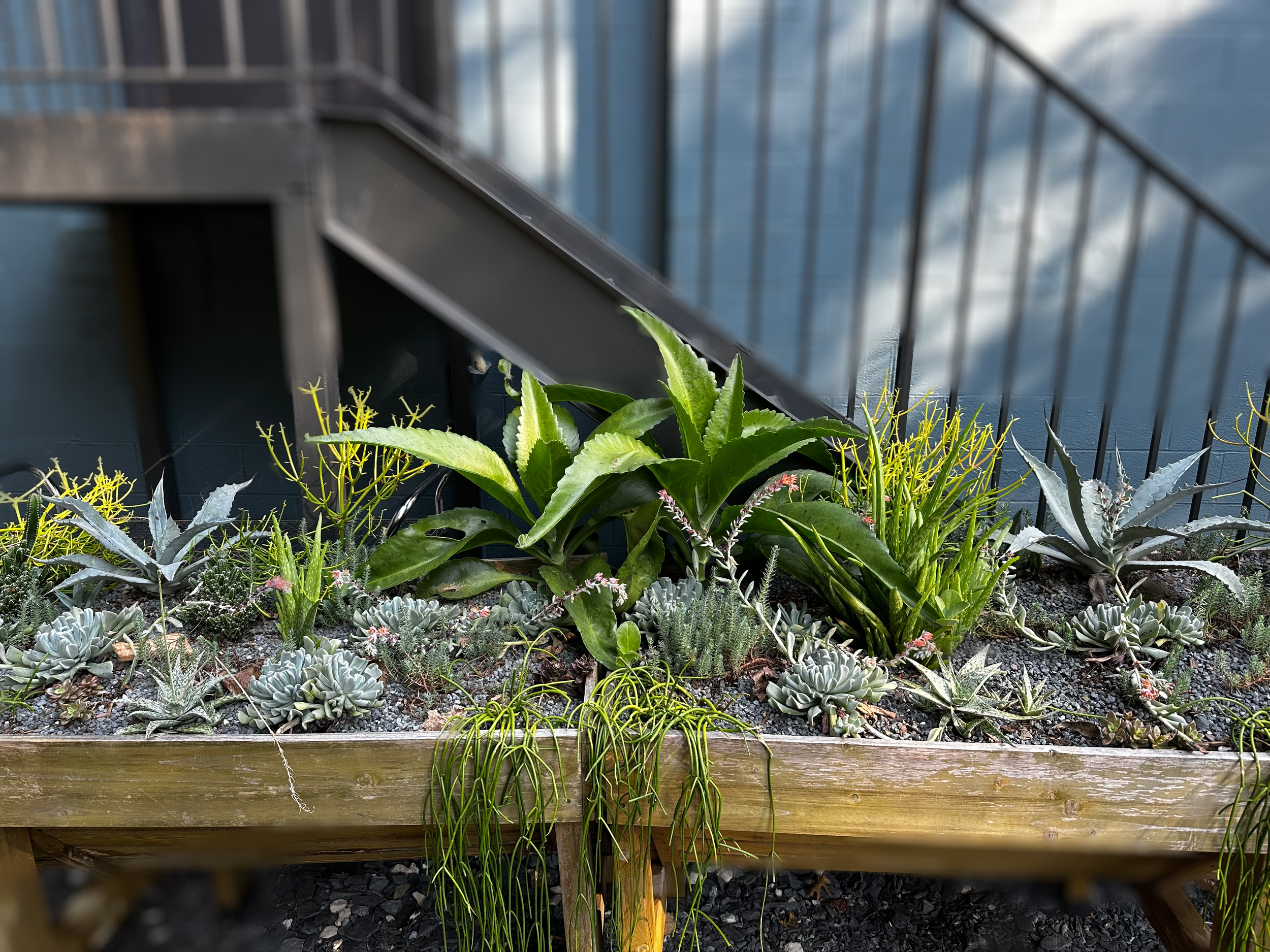 Facetune_29-09-2023-14-29-53 copy.png