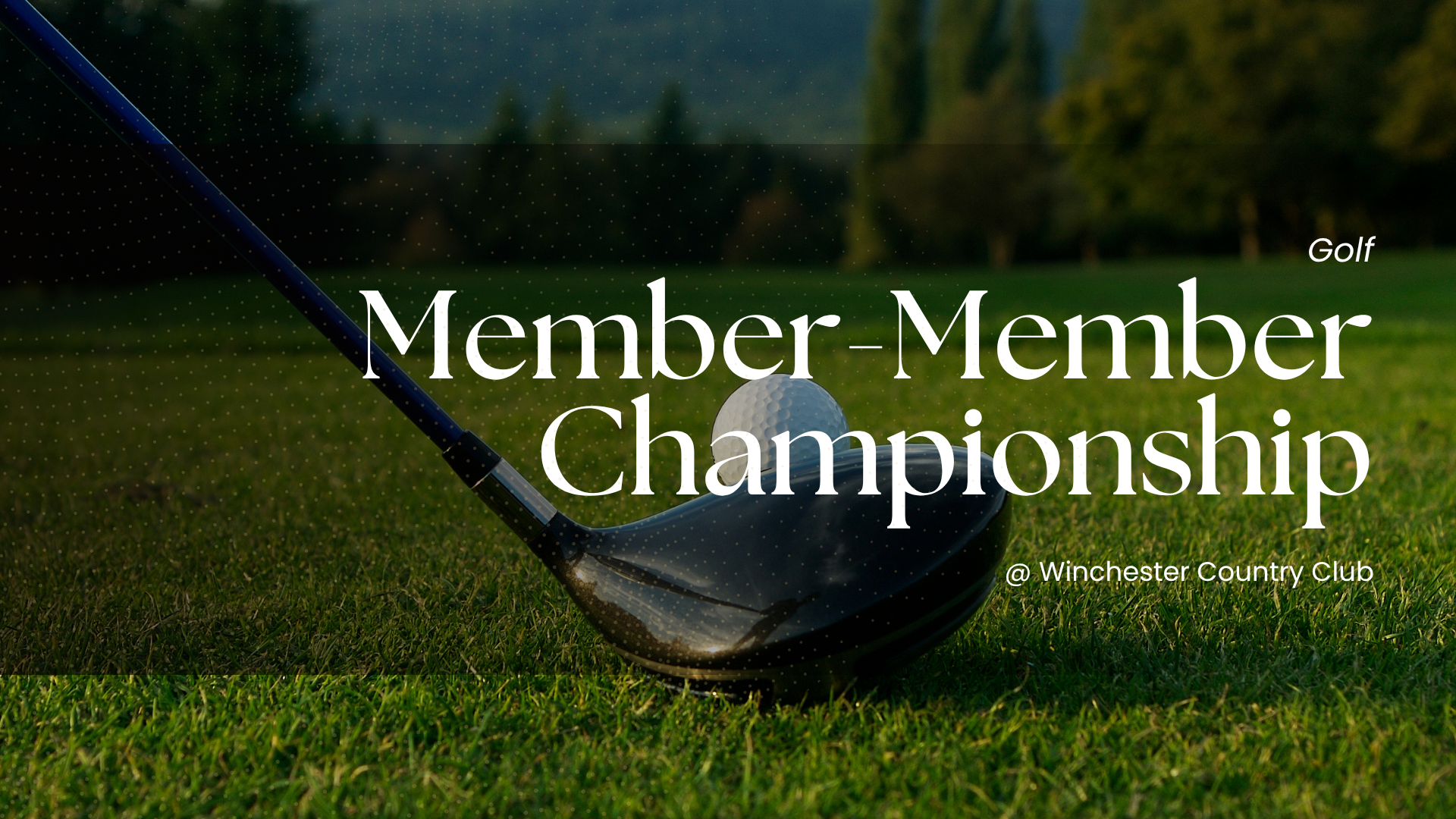Member-Member