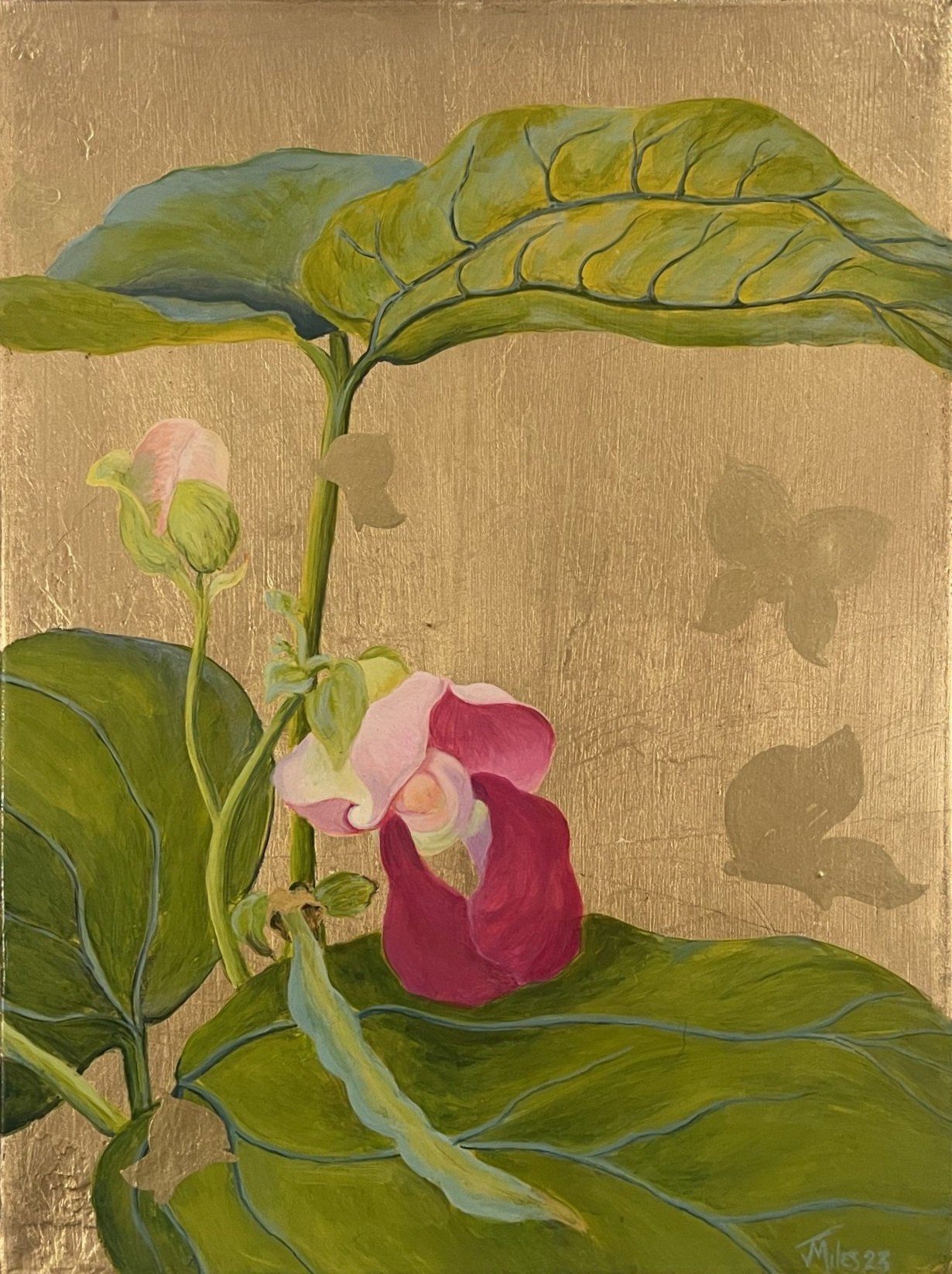 Green Bean Blossoms