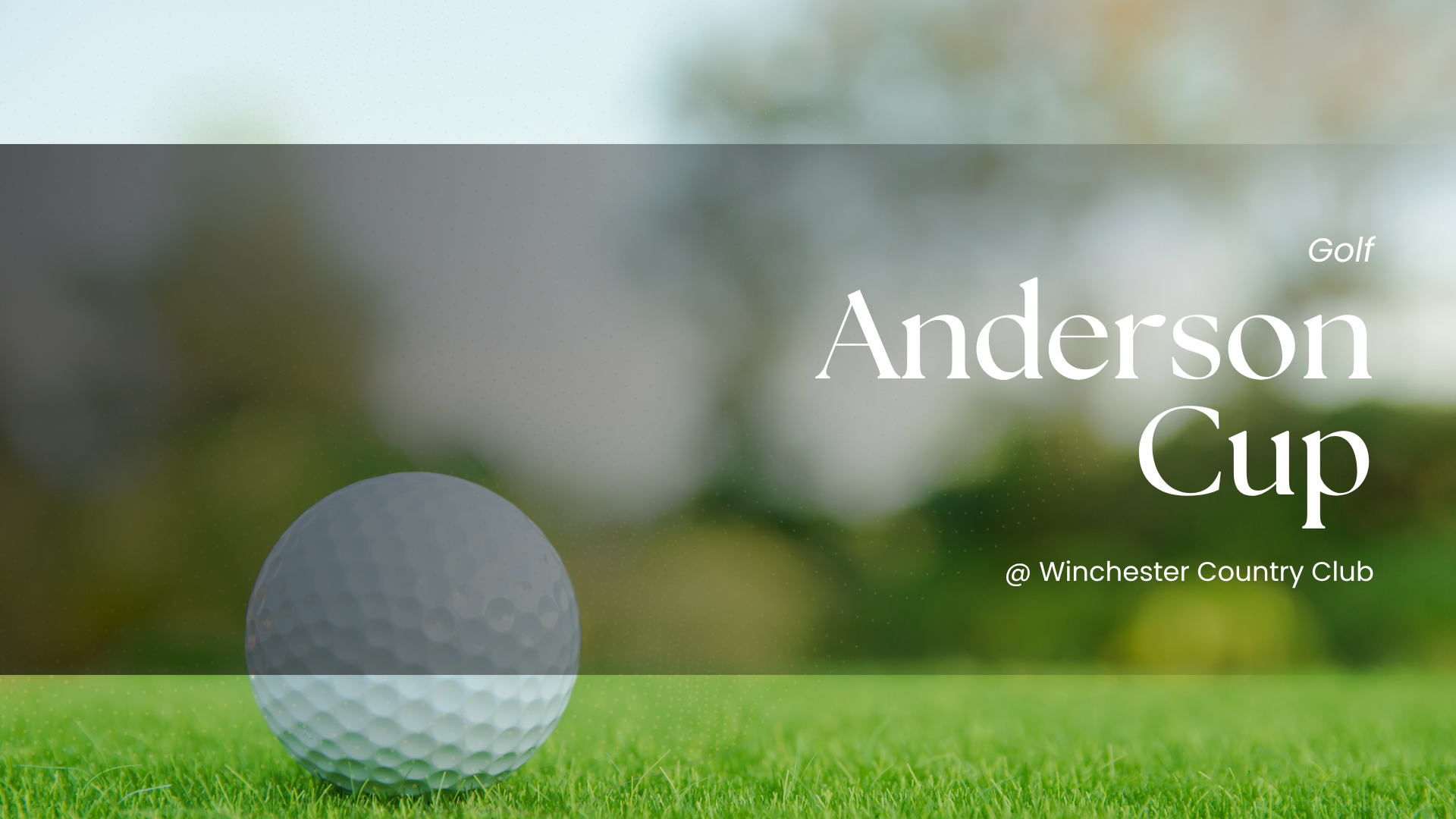 Anderson Cup