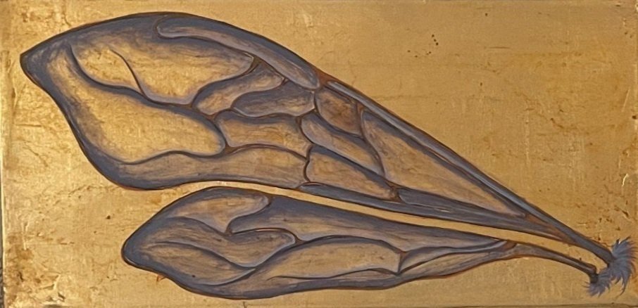 Wings
