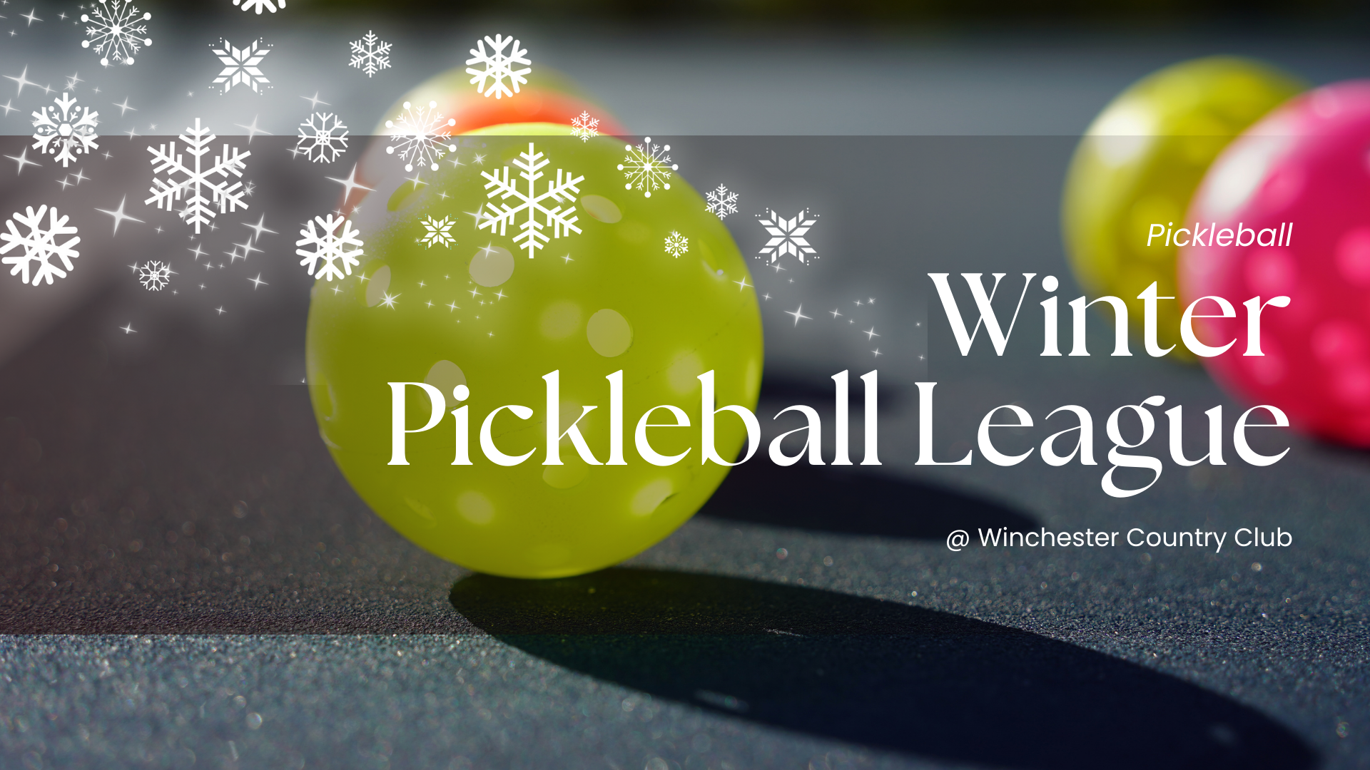 Pickleball: Winter Pickleball League
