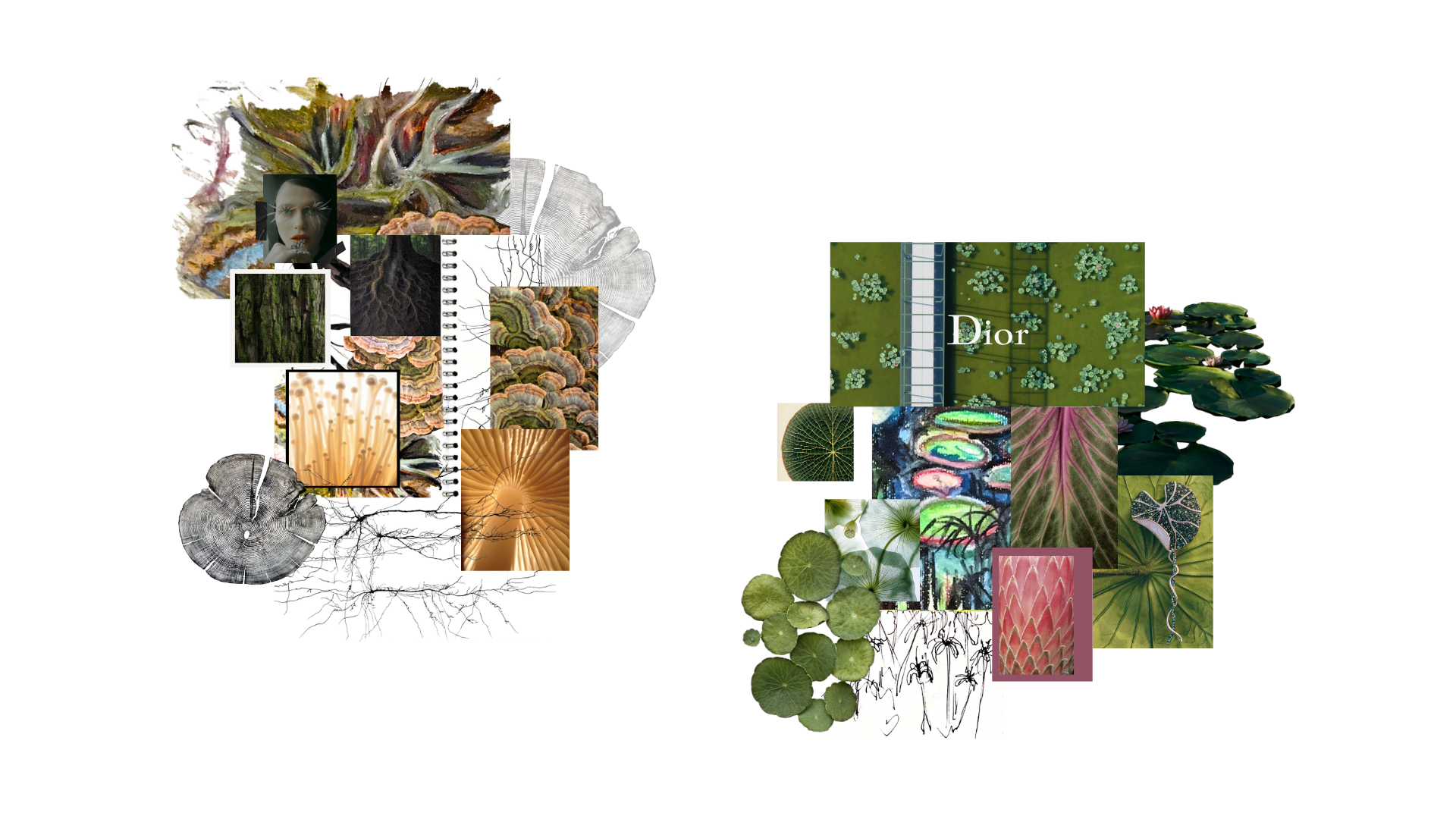 FMP portfolio pages.png