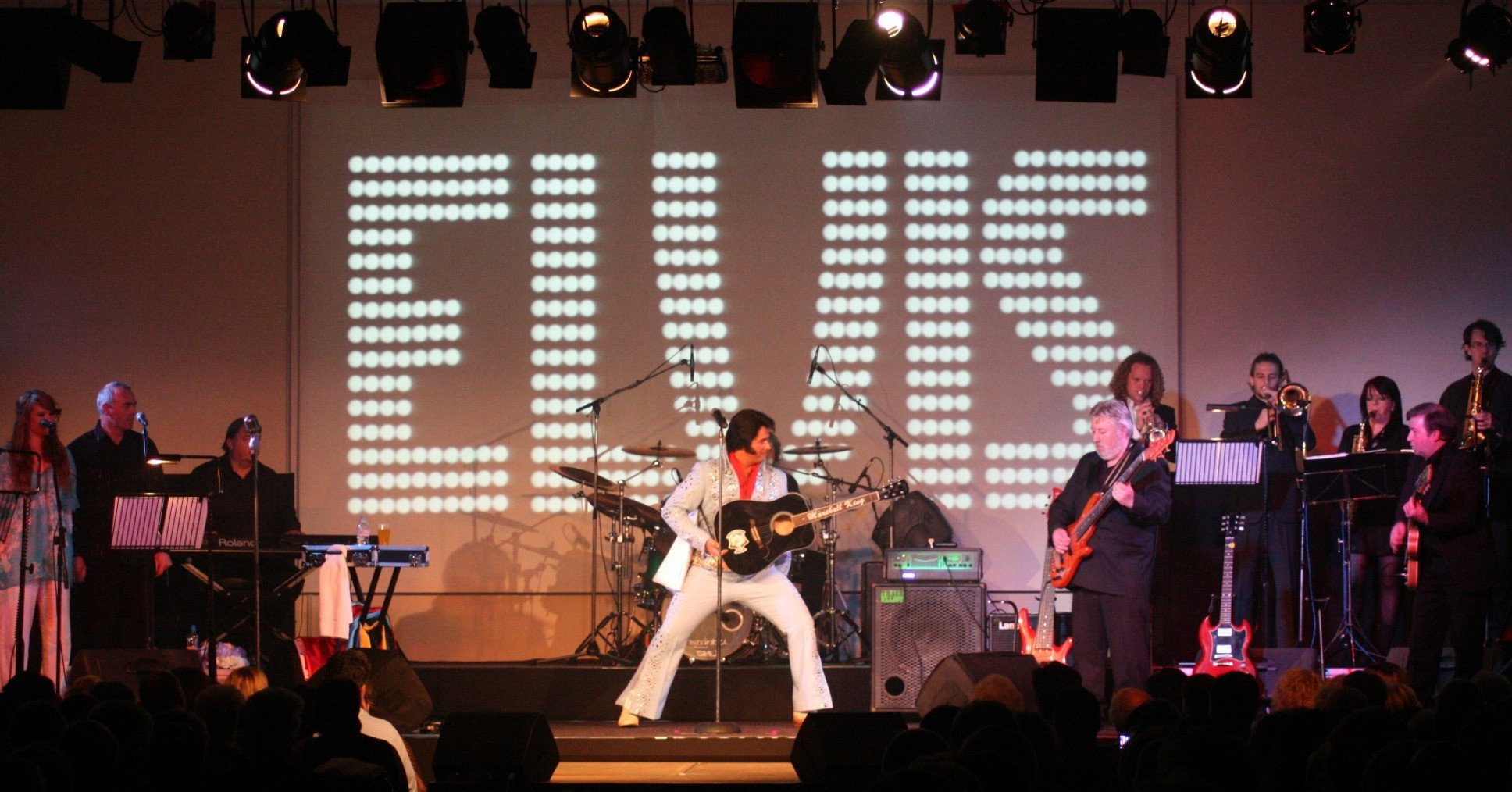 Elvis In Concert