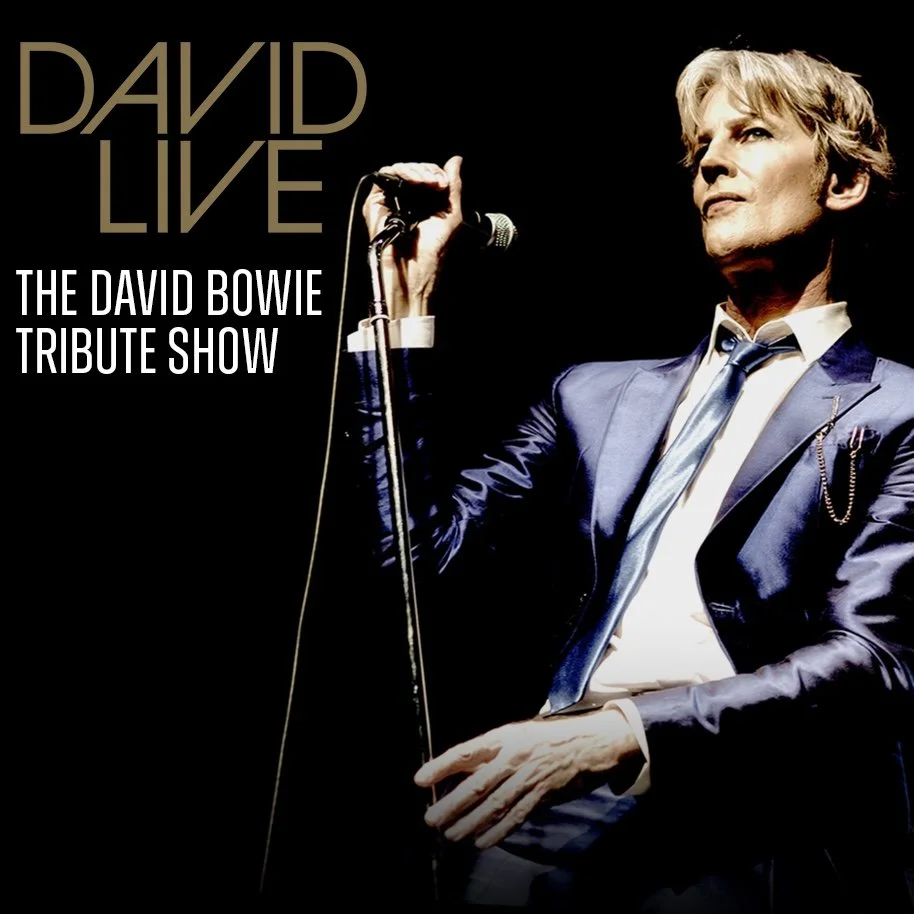 Suffolk theatre shows david bowie tribute