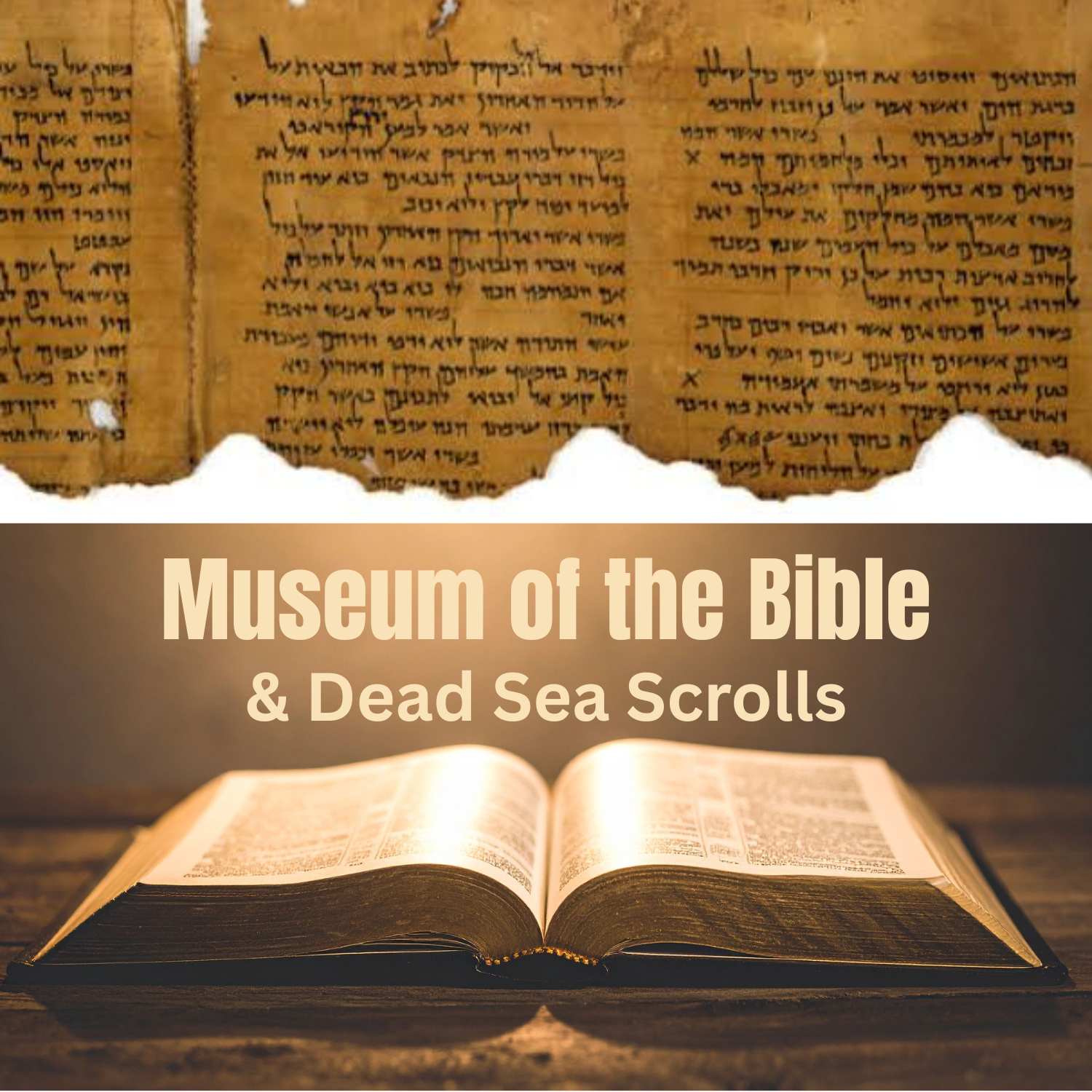 Bible Museum