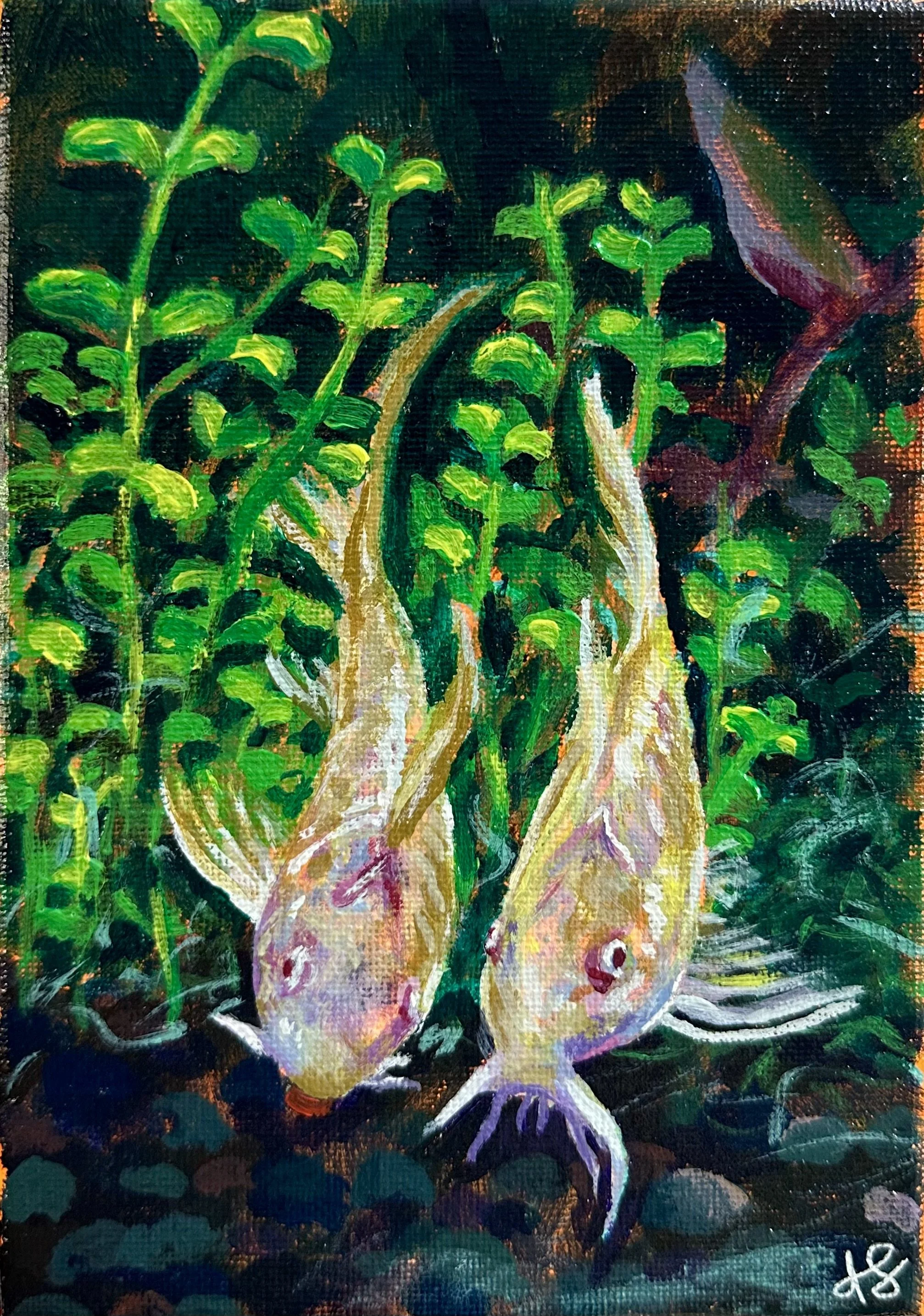 "Albino Cats", 5x7in, Acrylic on Canvas, 2026