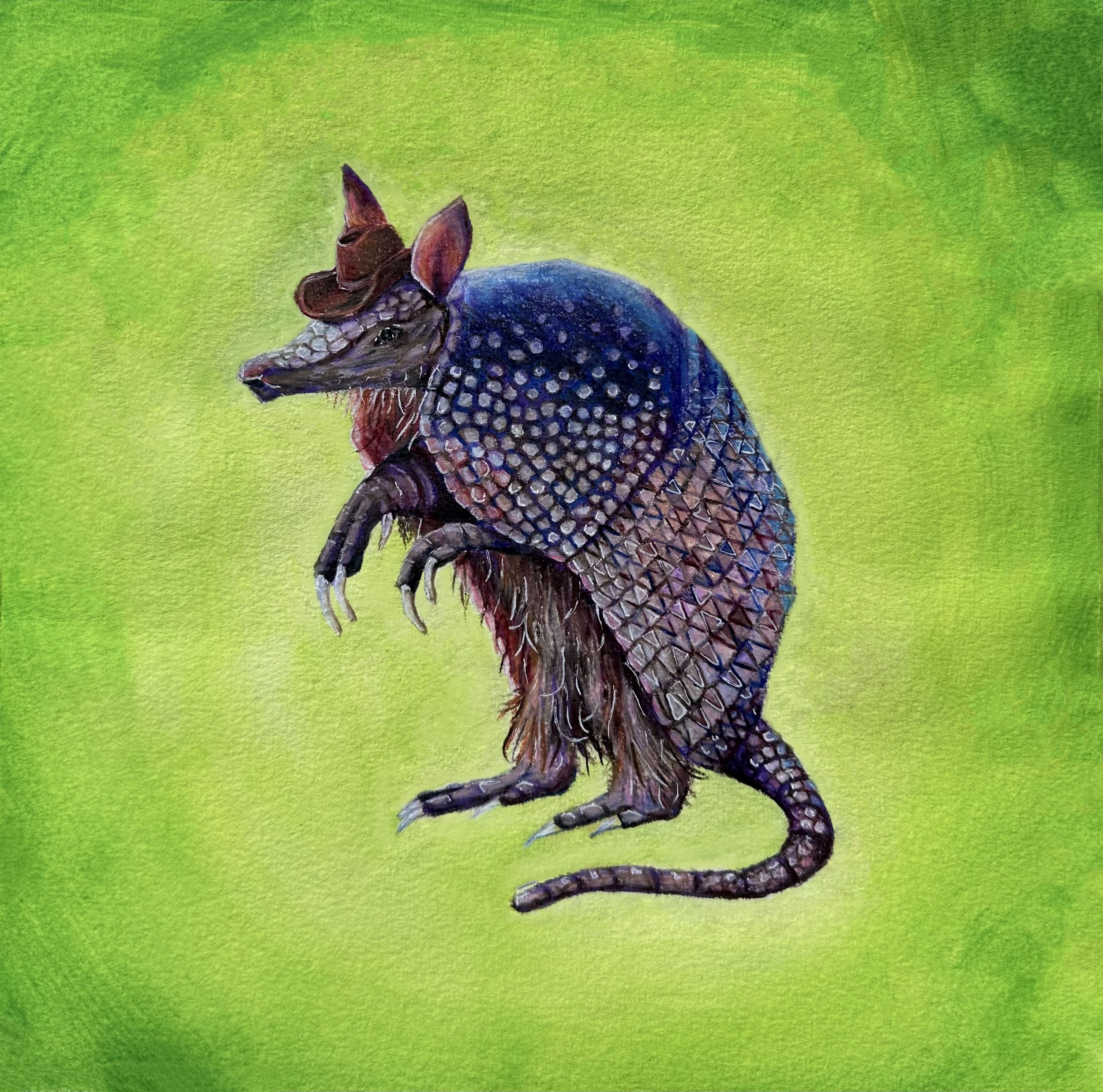 "Wayne the Dillo", 2024, 12inx12in ,Watercolor, colored pencil and gel pen on watercolor paper