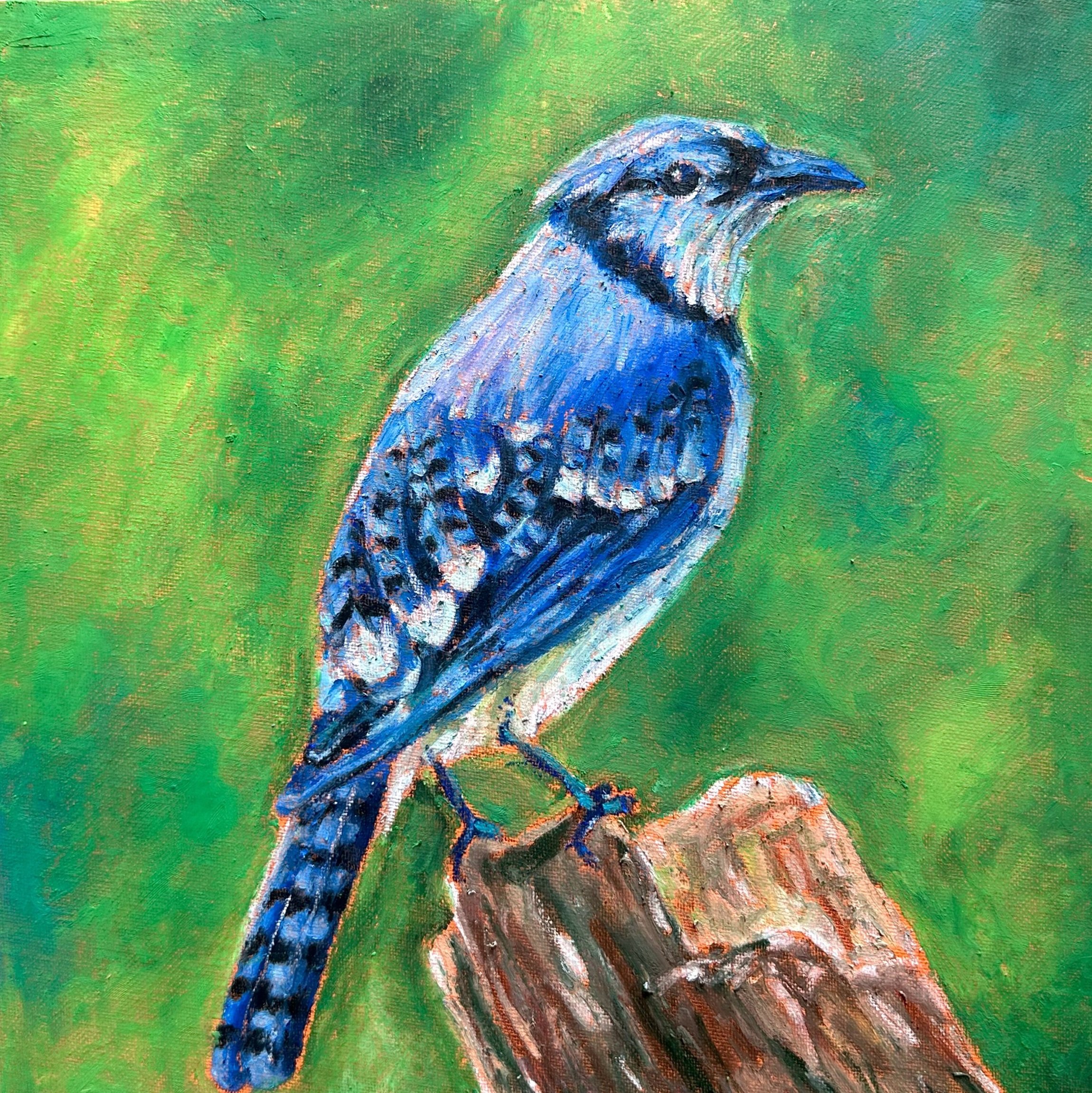 "Blue jay", 2023, 16inx16in, Oil pastel on canvas board