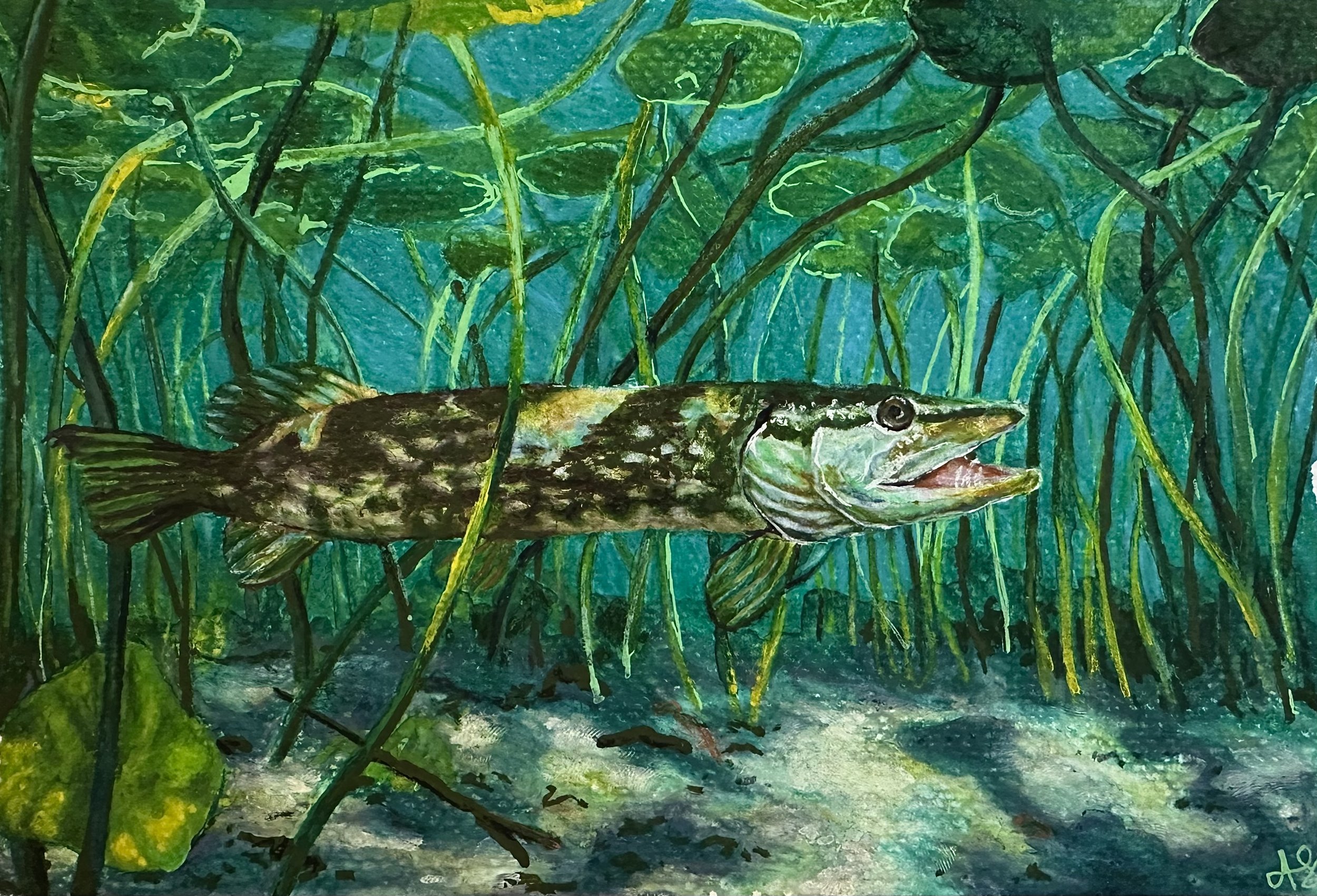 "Pike study", 2025, 6inx9in, Watercolor, colored pencil, posca markers and gel pen on watercolor paper