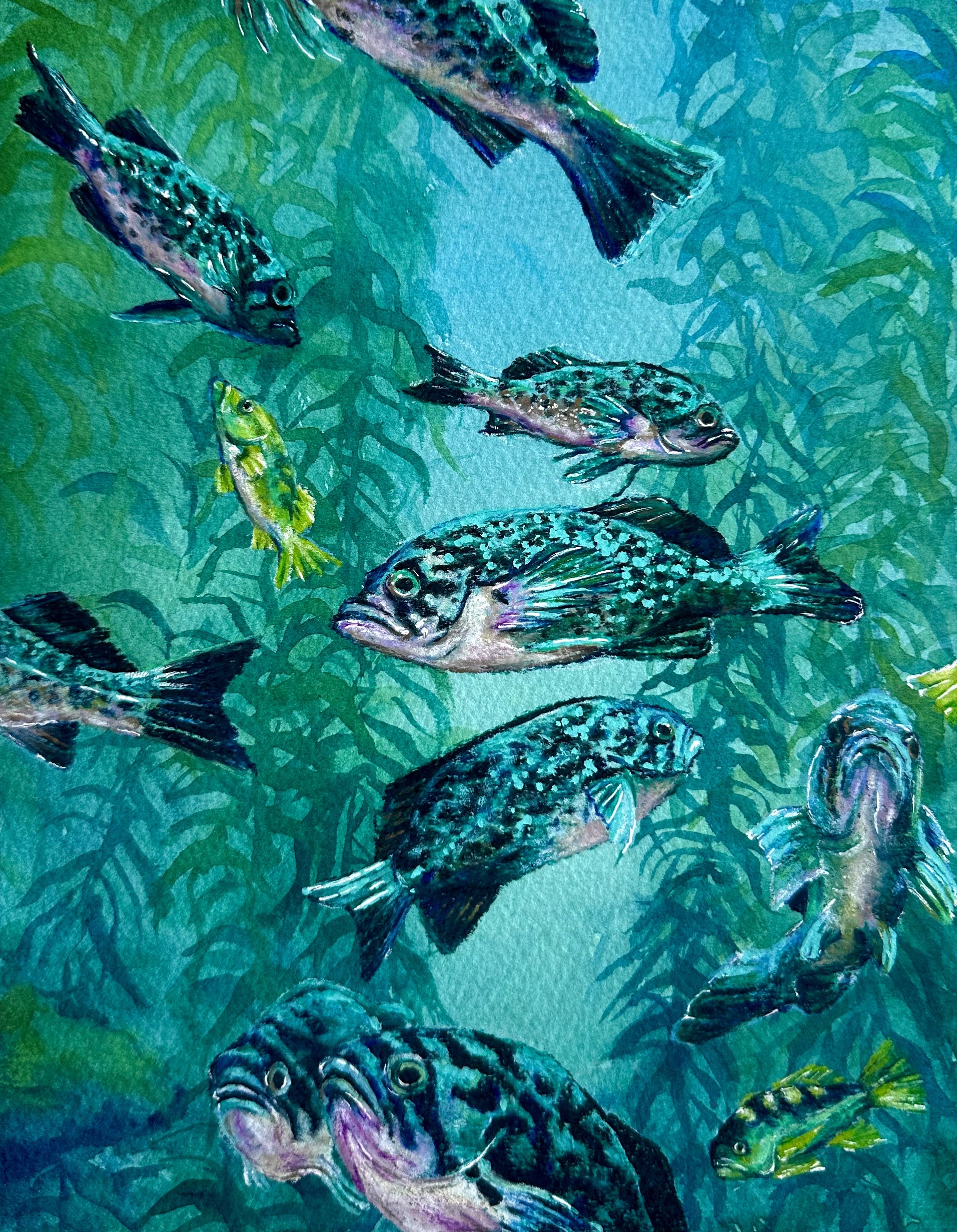 "Rockfish in Kelp Forest", 2024, 8inx10in, Watercolor, colored Pencil, gel pen, and paint marker on watercolor paper