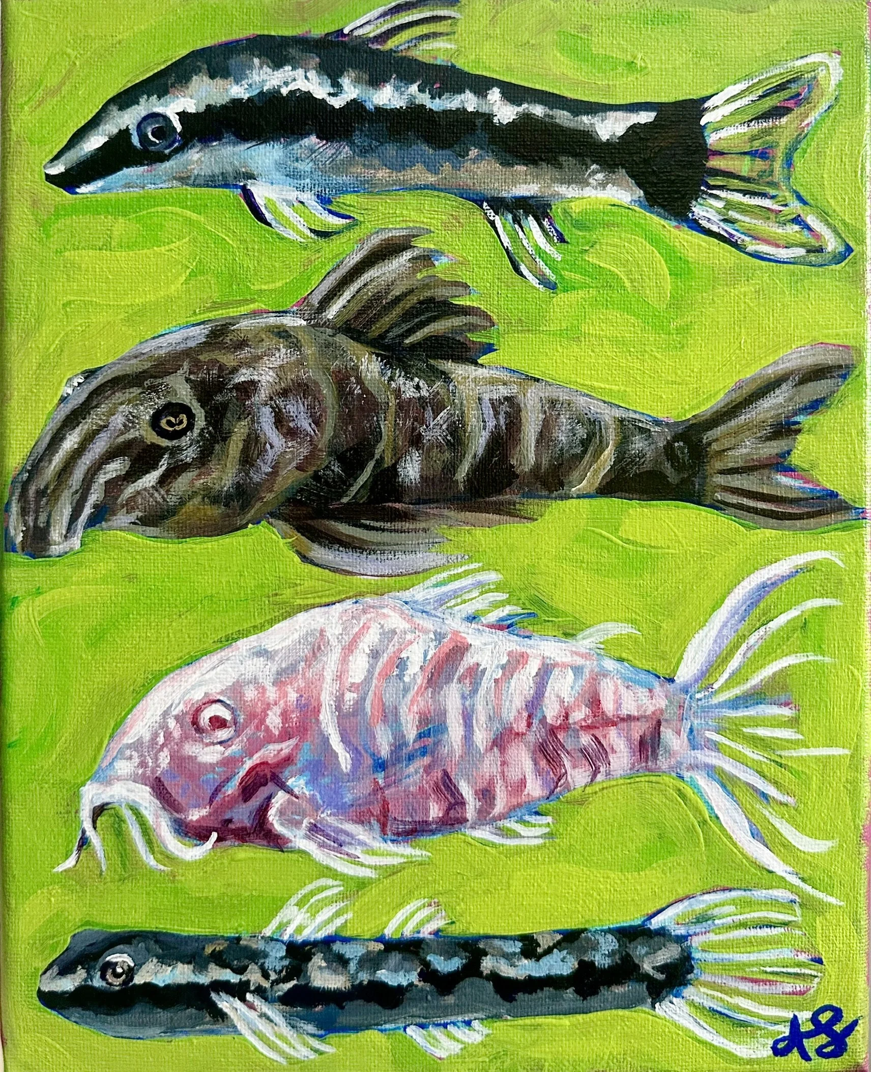 "Suckers", 8x10in, Acrylic on Canvas, 2026