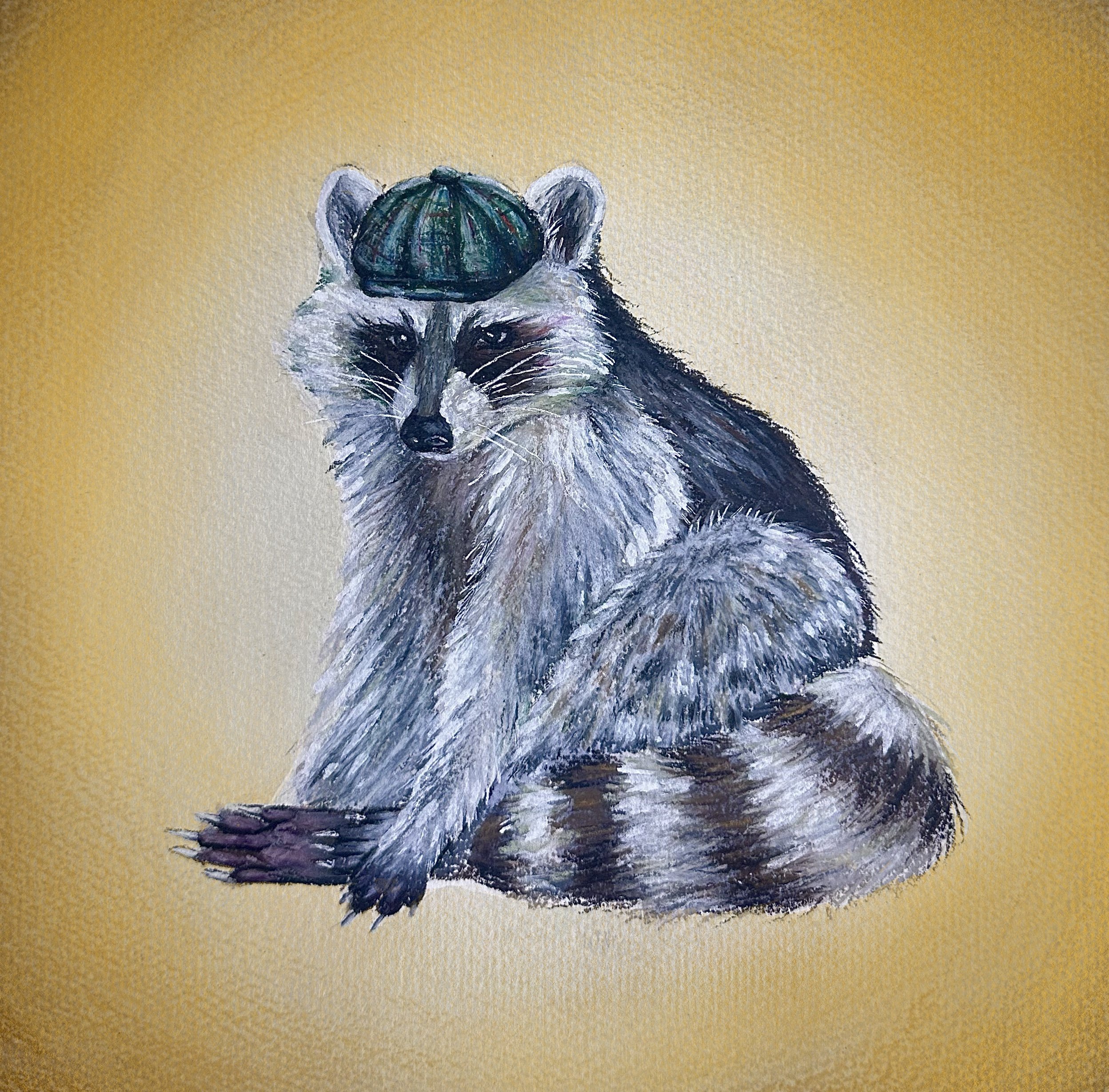 "Bartholomew the Raccoon", 2024, 10inx10in, Watercolor, colored pencil and gel pen on watercolor paper