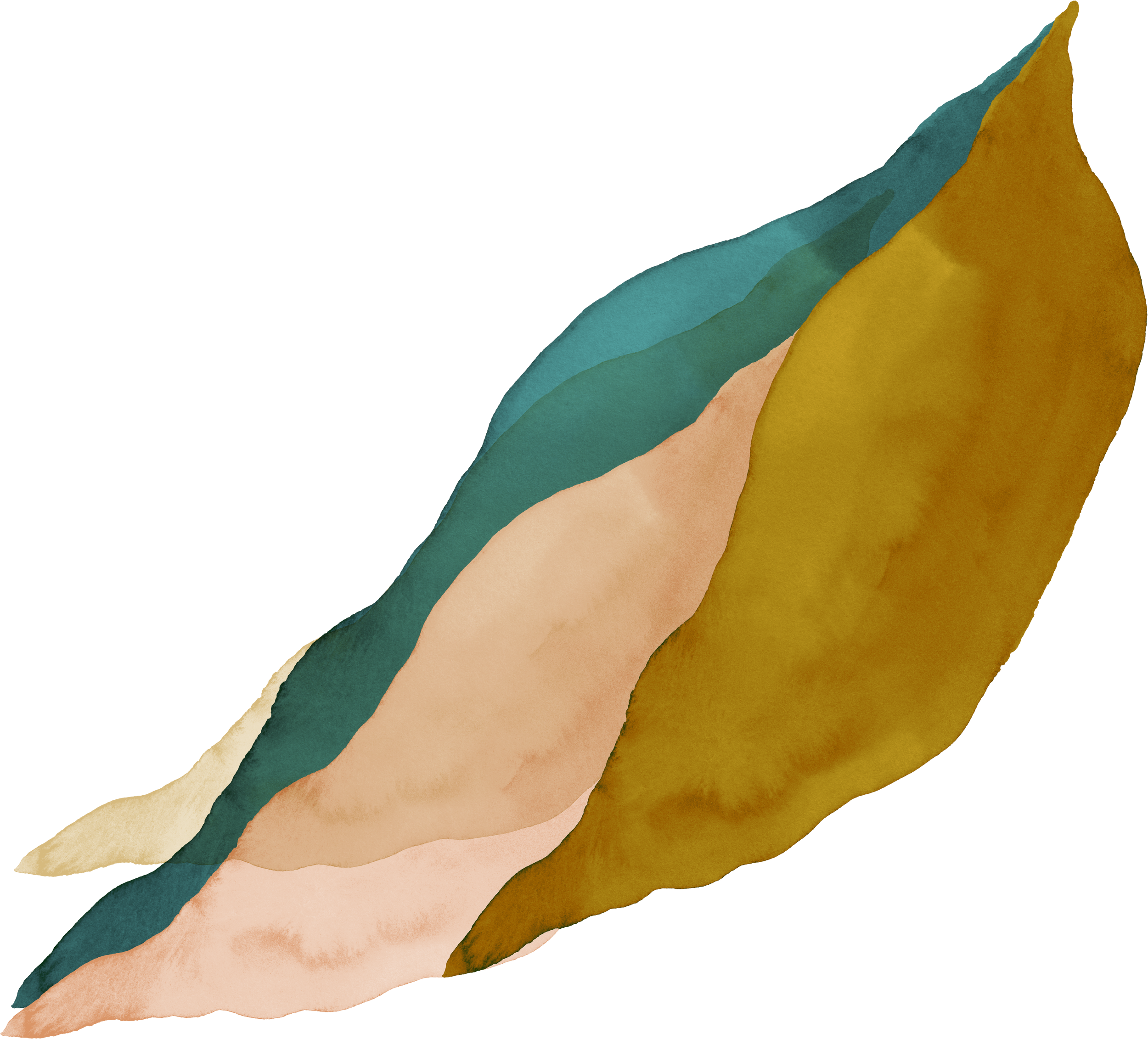 Watercolor illustration of a layered feather in shades of teal, beige, and brown.