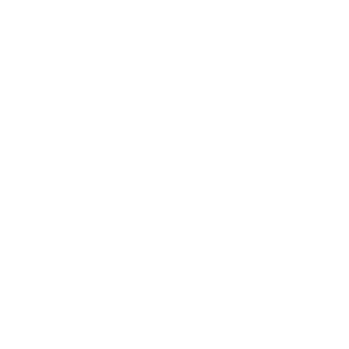 lauraleibl.femalementoringandmovement