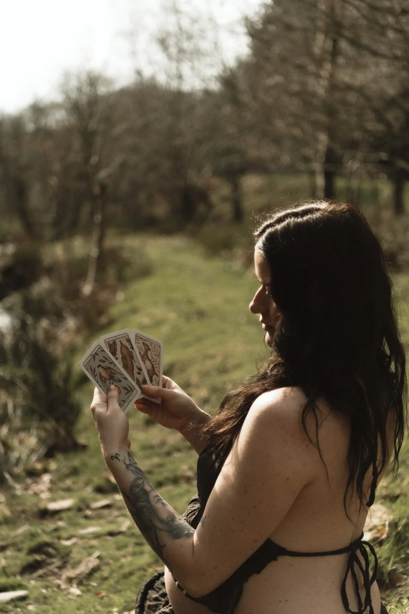 Tarot Workshop