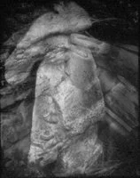 Lisa Gray "Hearthstone"