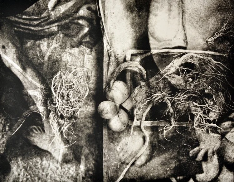 "Antiquity" by Lisa Gray