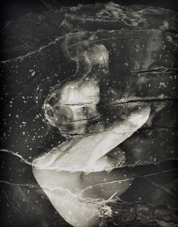 "Starry Night" by Lisa Gray