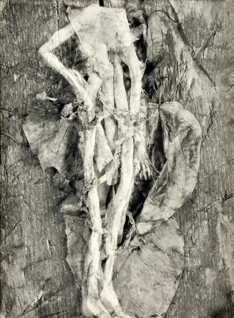 "Sentinel" by Lisa Gray