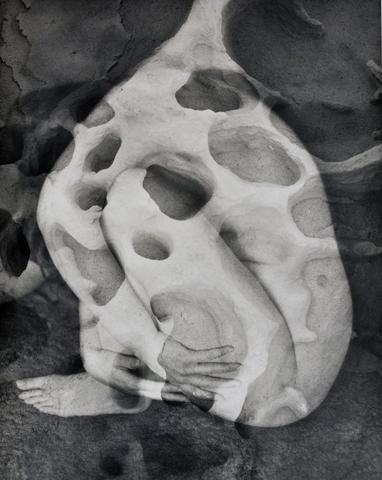 "Cocoon" by Lisa Gray