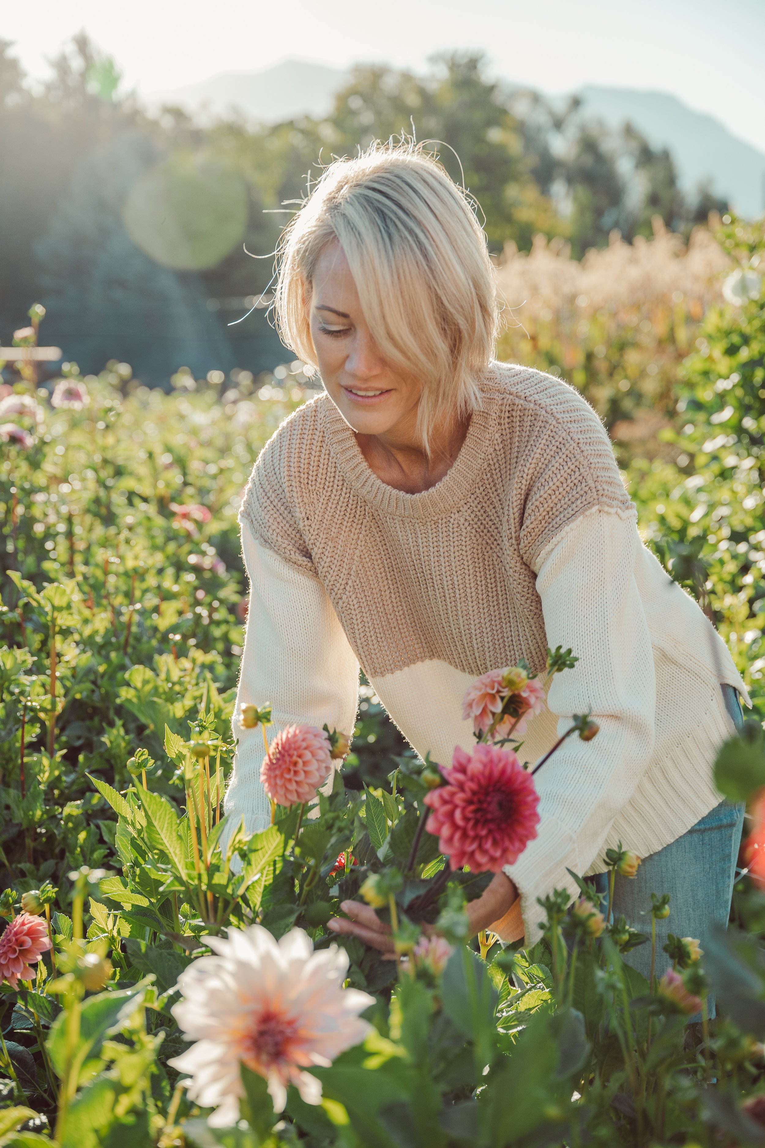 Seed Starting and Dahlia Planting/care
