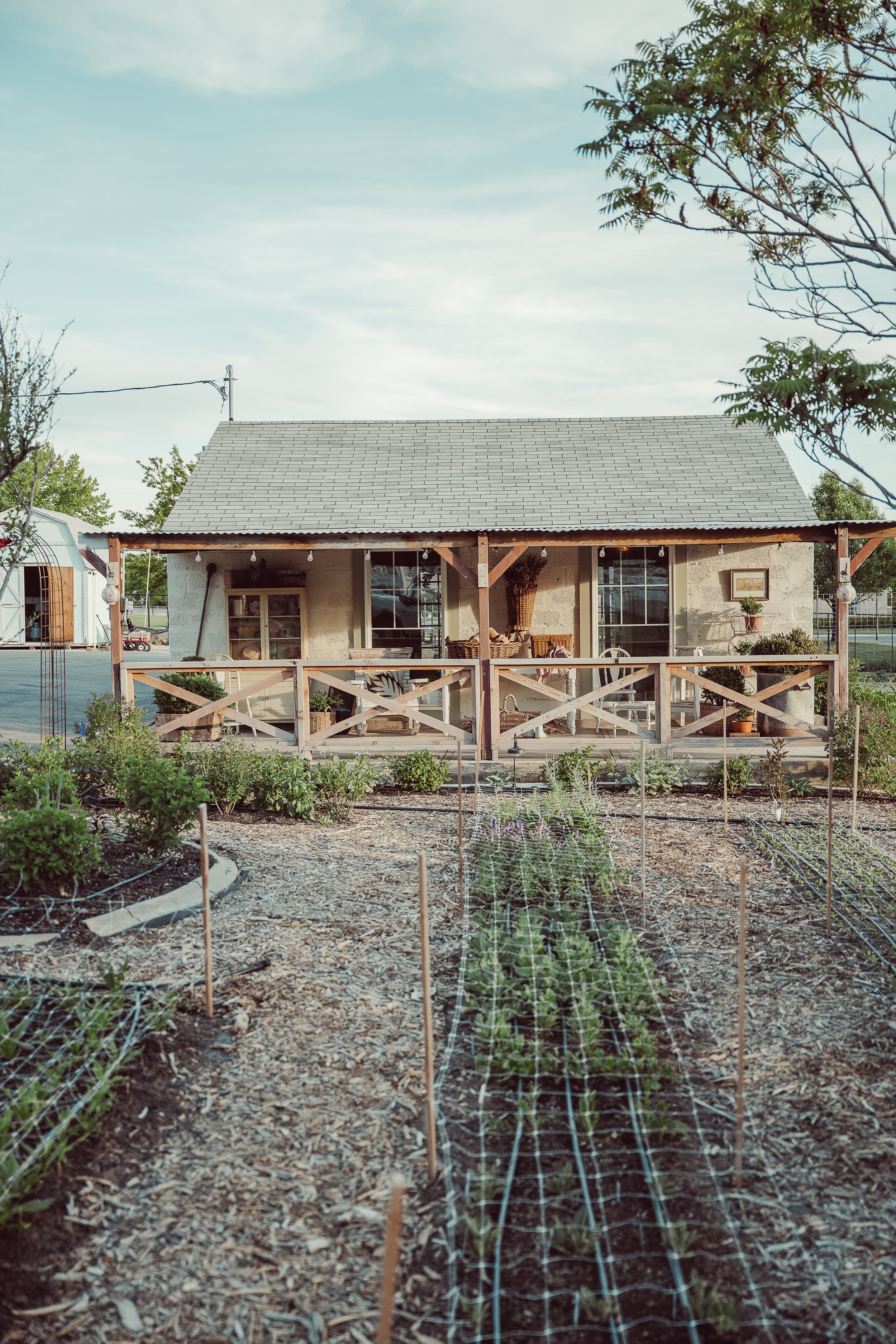 Growing in the Quiet Season