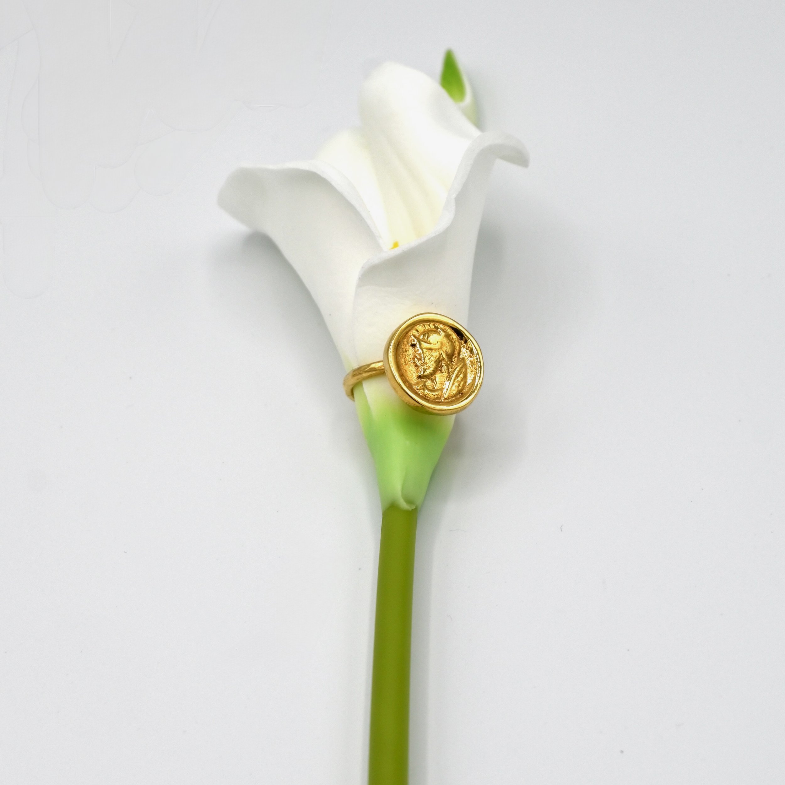 Solidus Ring