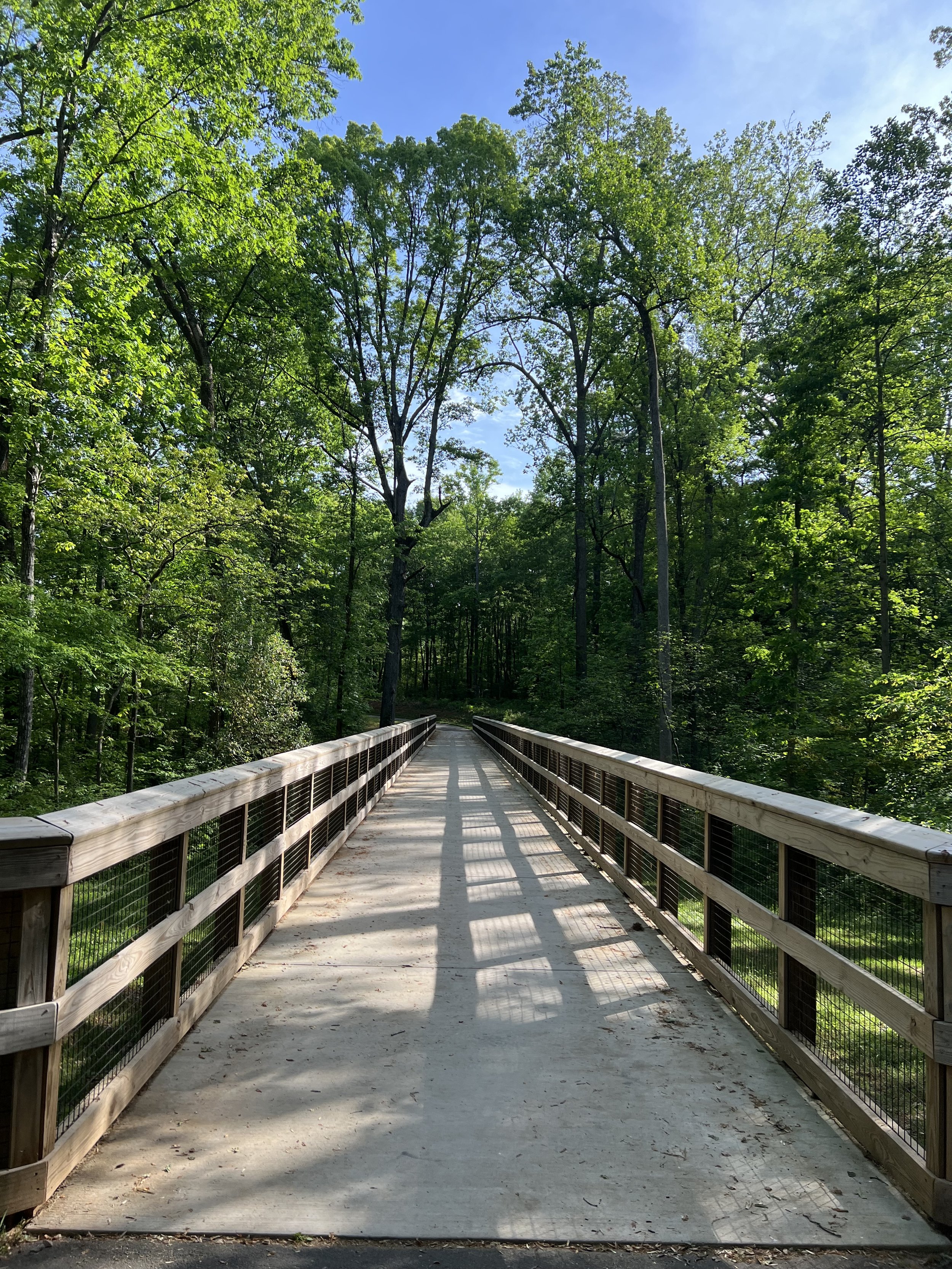 Half a Year in the Queen City: What I’ve Learned and Loved