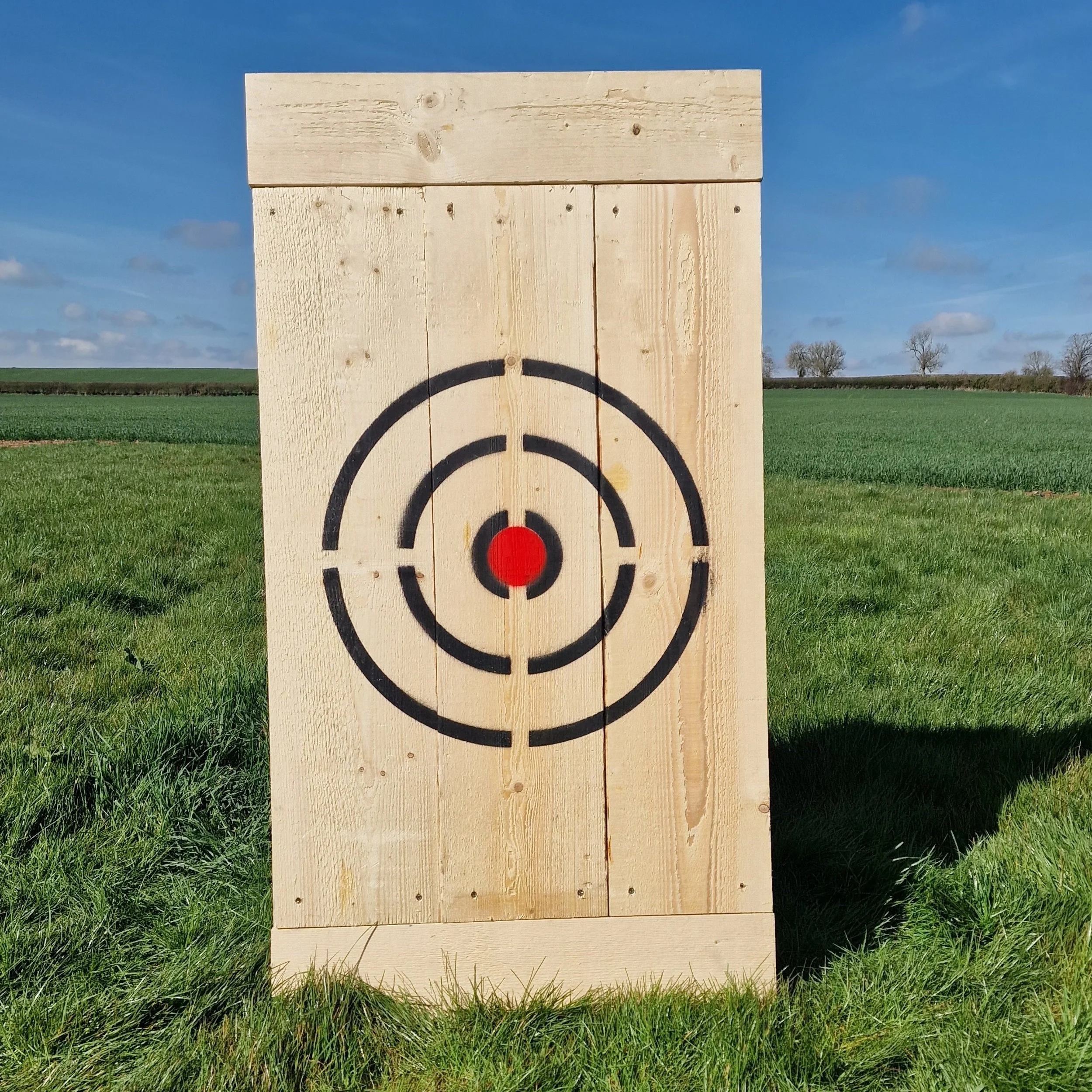 axe-throwing-target-outdoors-grass-blue-sky